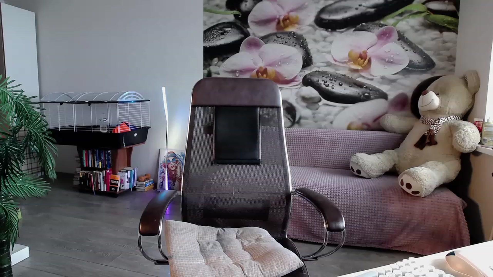 Gallery image thumbnail from HoneyIAmHome's myfreecams stream on, 11/18/2023, 05:19 image 4 of 20