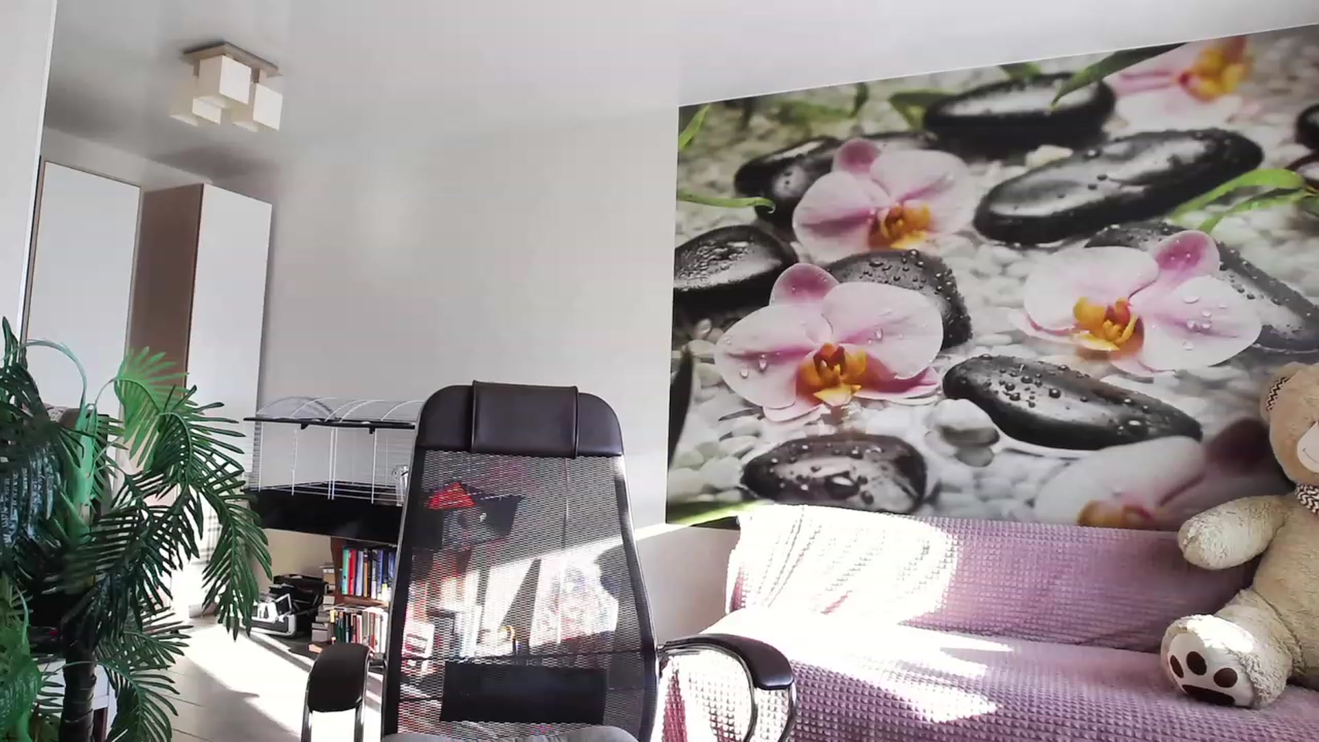 Gallery image thumbnail from HoneyIAmHome's myfreecams stream on, 11/20/2023, 07:50 image 1 of 20