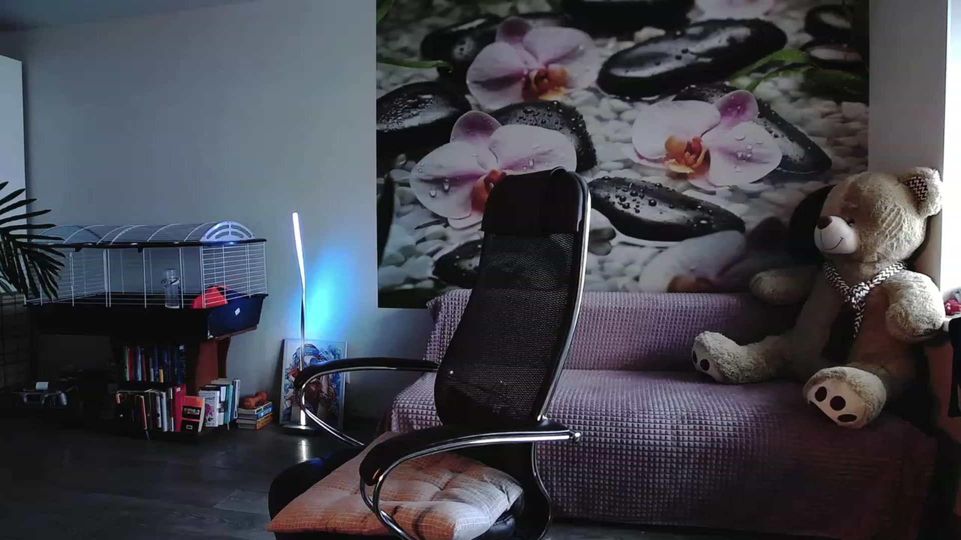 Gallery image thumbnail from HoneyIAmHome's myfreecams stream on, 11/22/2023, 04:37 image 3 of 20