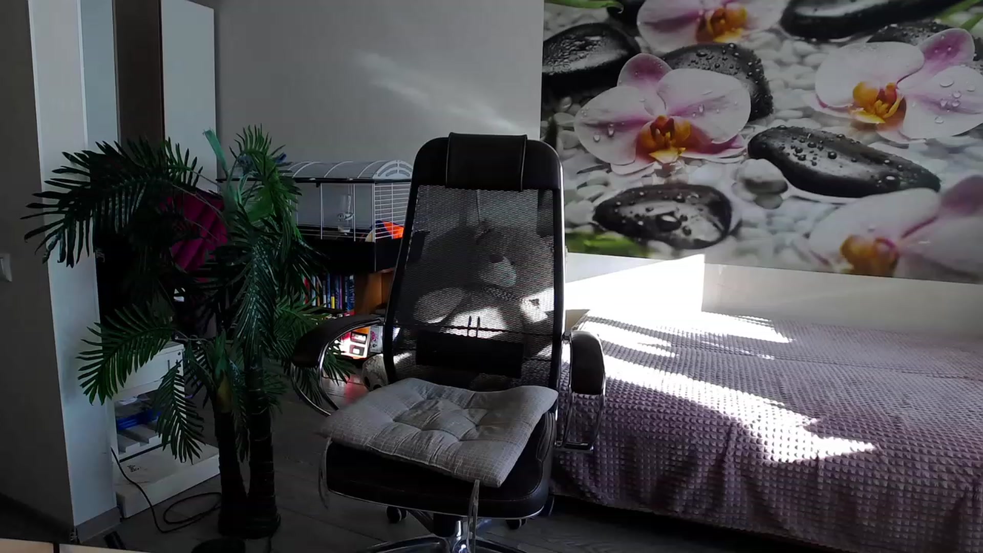 Gallery image thumbnail from HoneyIAmHome's myfreecams stream on, 11/29/2023, 04:47 image 14 of 20