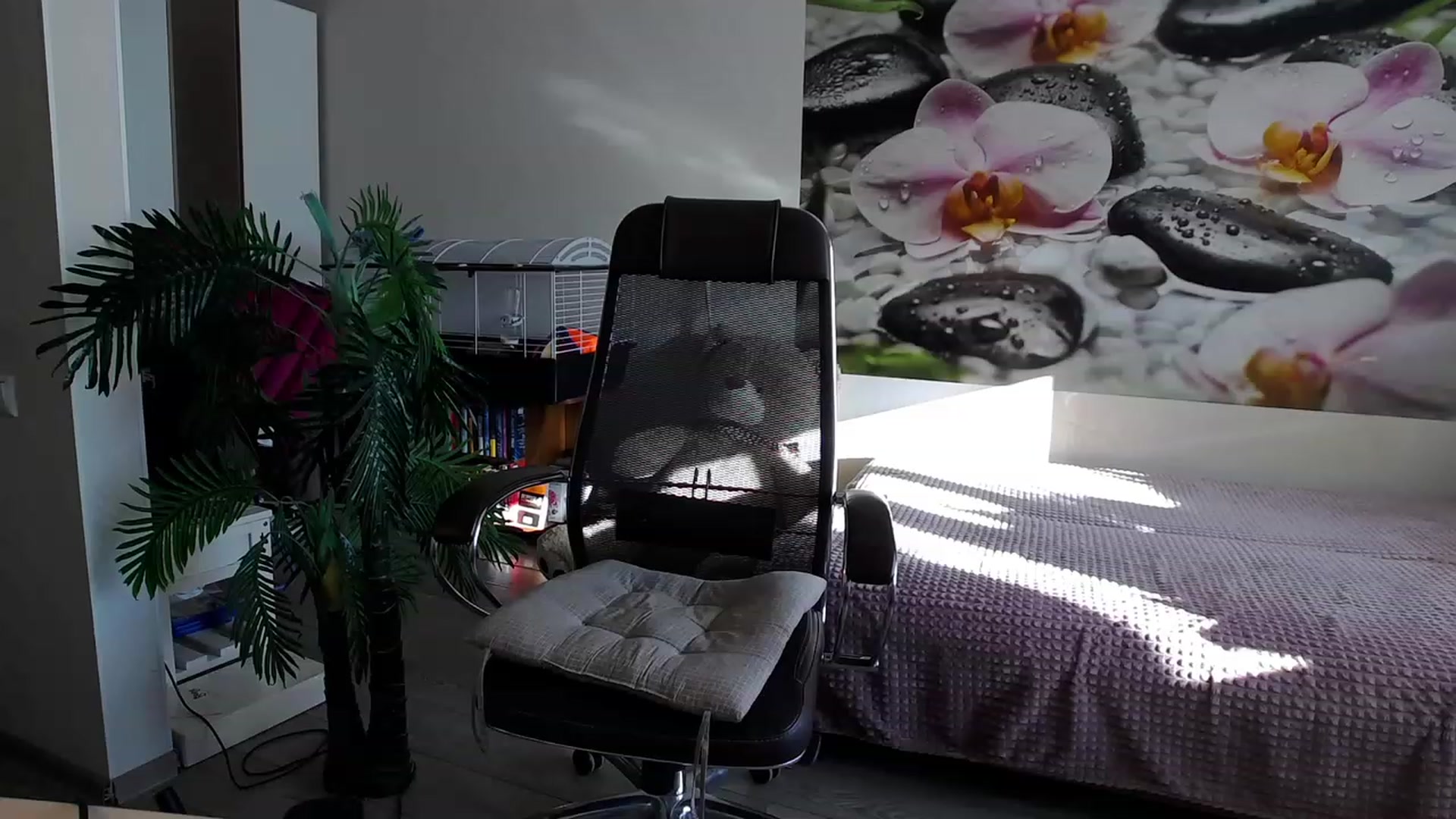 Gallery image thumbnail from HoneyIAmHome's myfreecams stream on, 11/29/2023, 04:47 image 13 of 20