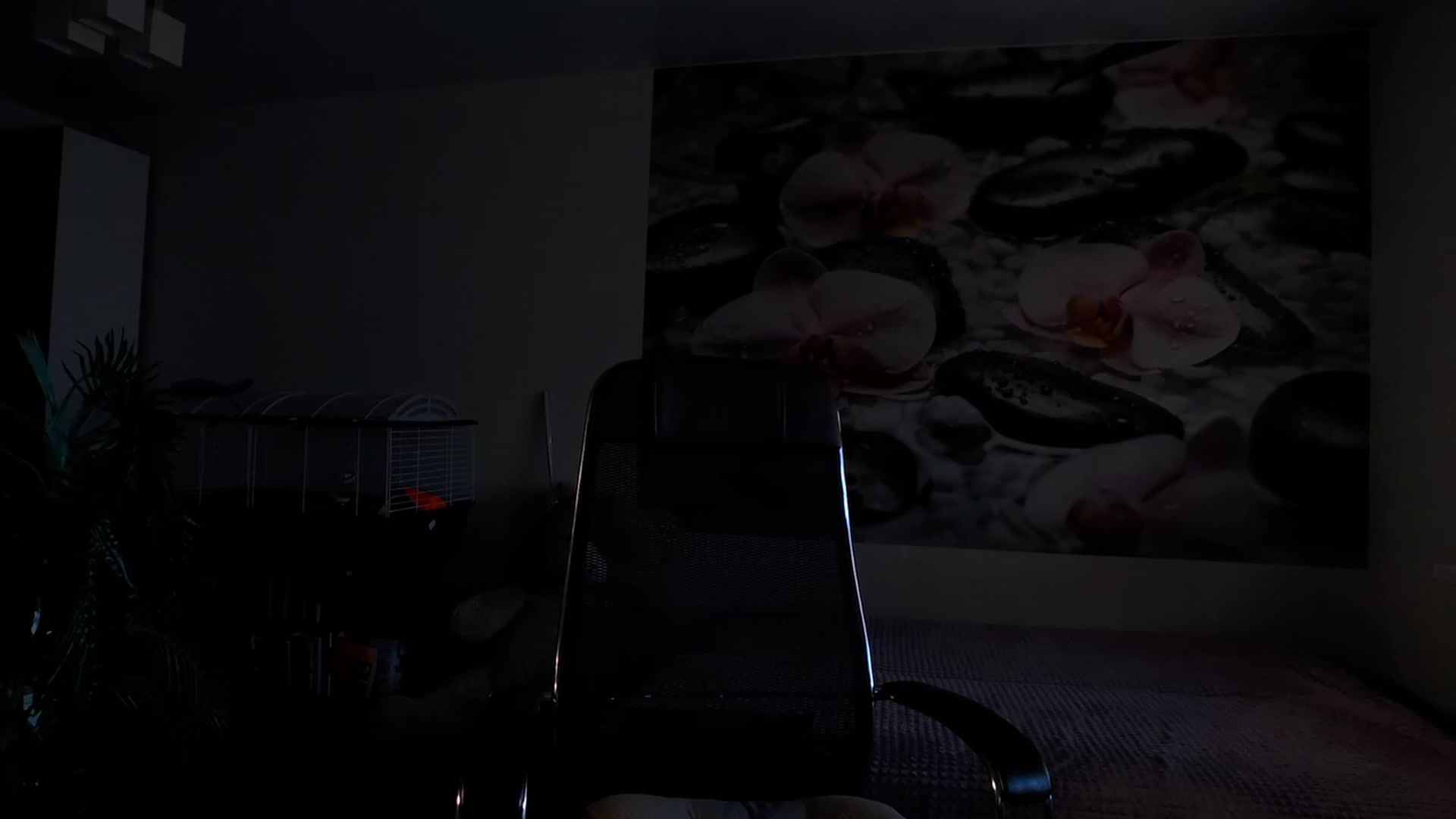 Gallery image thumbnail from HoneyIAmHome's myfreecams stream on, 11/29/2023, 07:33 image 10 of 20