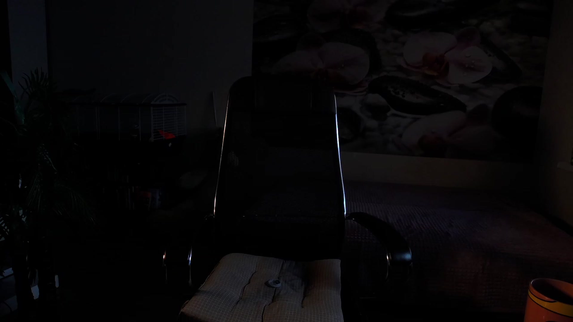 Gallery image thumbnail from HoneyIAmHome's myfreecams stream on, 11/29/2023, 07:33 image 11 of 20
