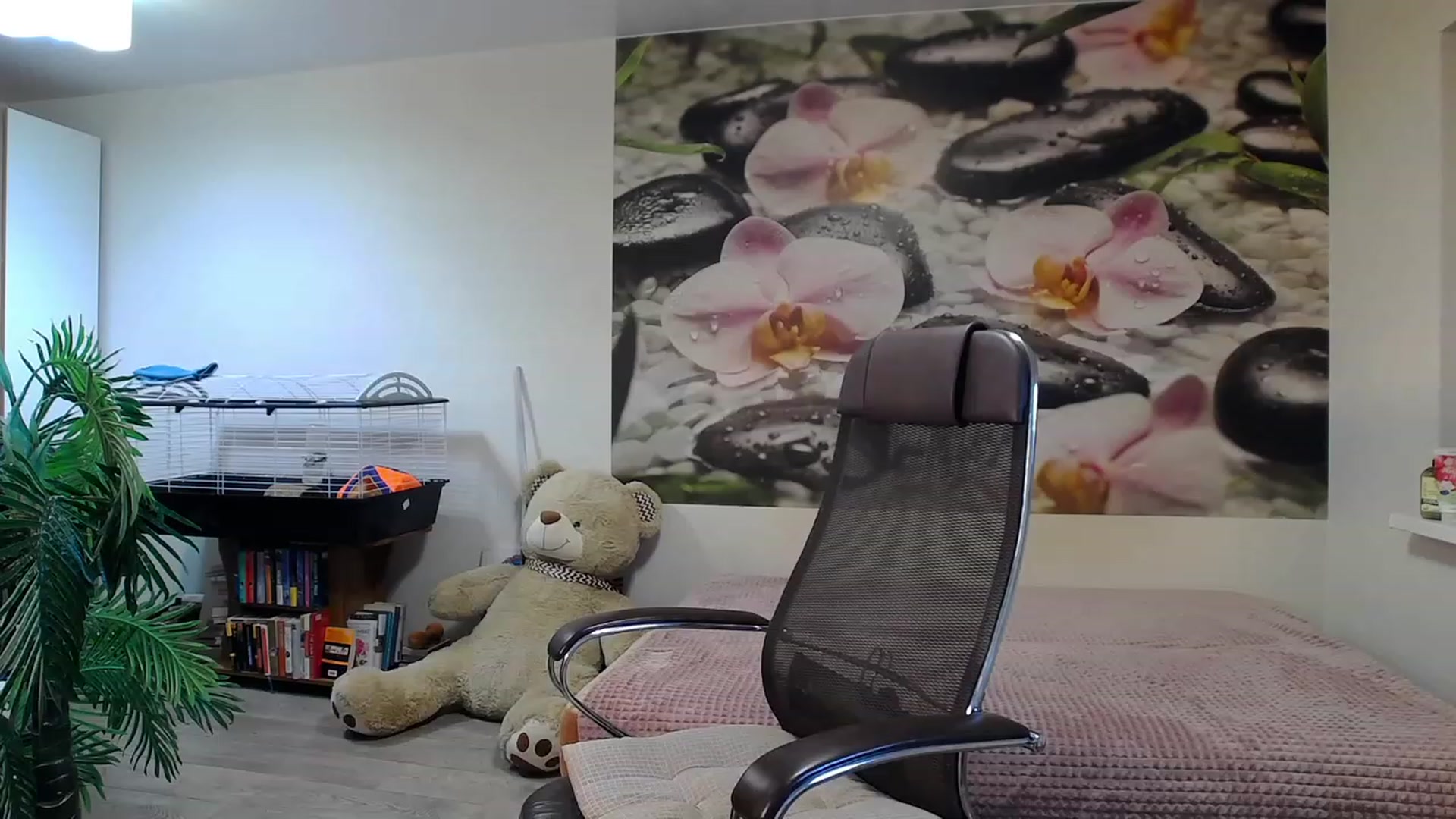 Gallery image thumbnail from HoneyIAmHome's myfreecams stream on, 11/29/2023, 08:27 image 17 of 20