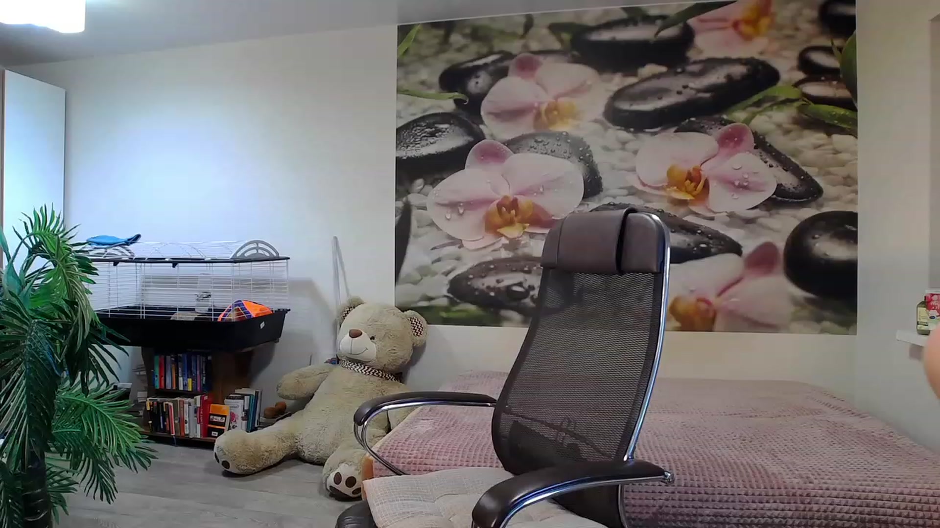 Gallery image thumbnail from HoneyIAmHome's myfreecams stream on, 11/29/2023, 08:27 image 18 of 20