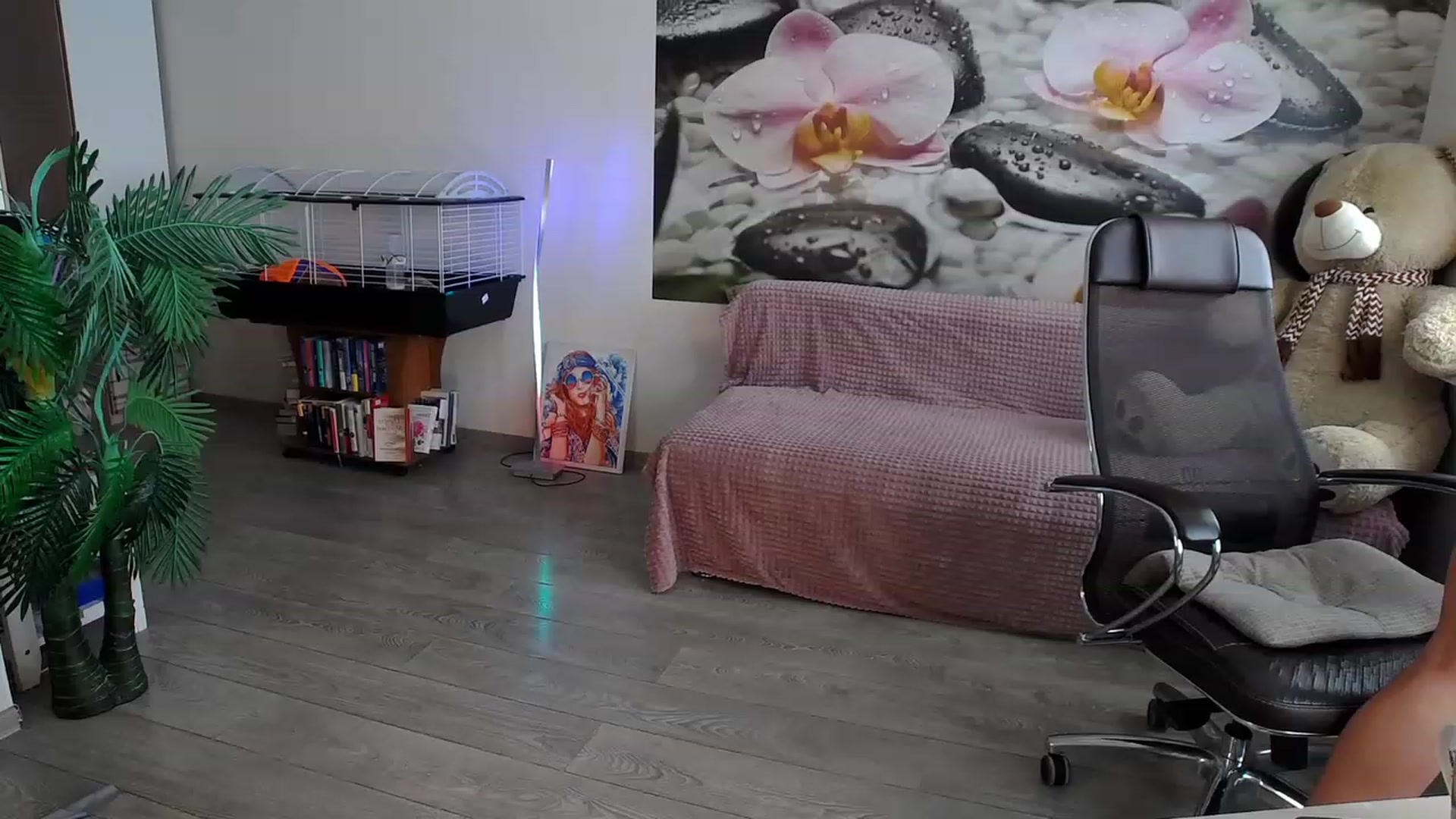 Gallery image thumbnail from HoneyIAmHome's myfreecams stream on, 01/15/2024, 07:31 image 9 of 20
