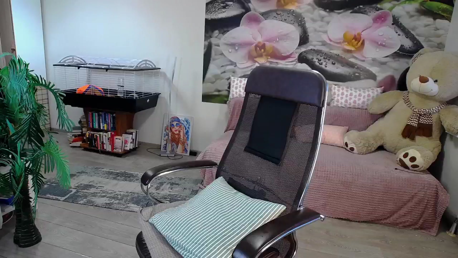 Gallery image thumbnail from HoneyIAmHome's myfreecams stream on, 02/01/2024, 08:14 image 13 of 20