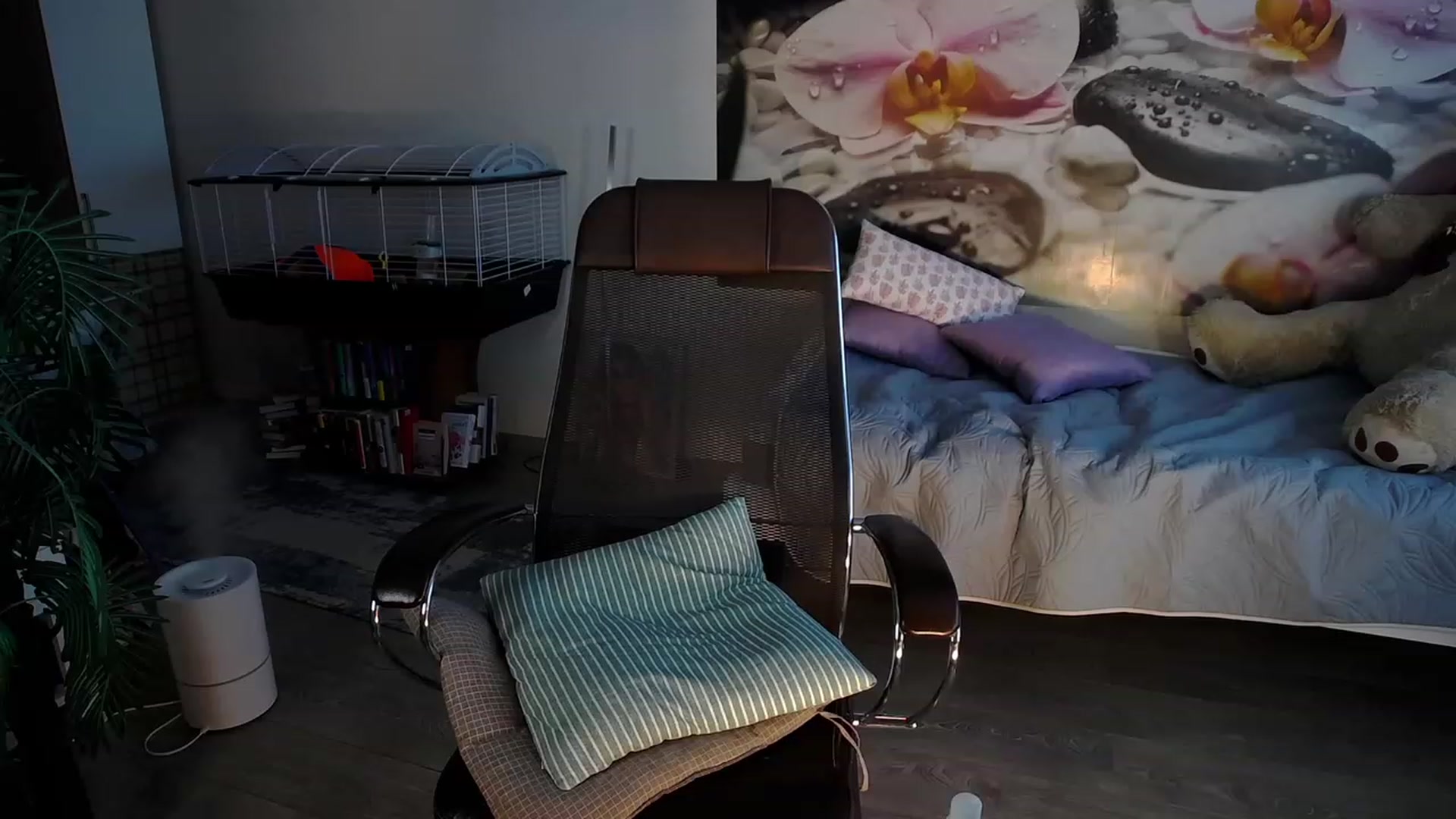 Gallery image thumbnail from HoneyIAmHome's myfreecams stream on, 02/12/2024, 08:13 image 12 of 20