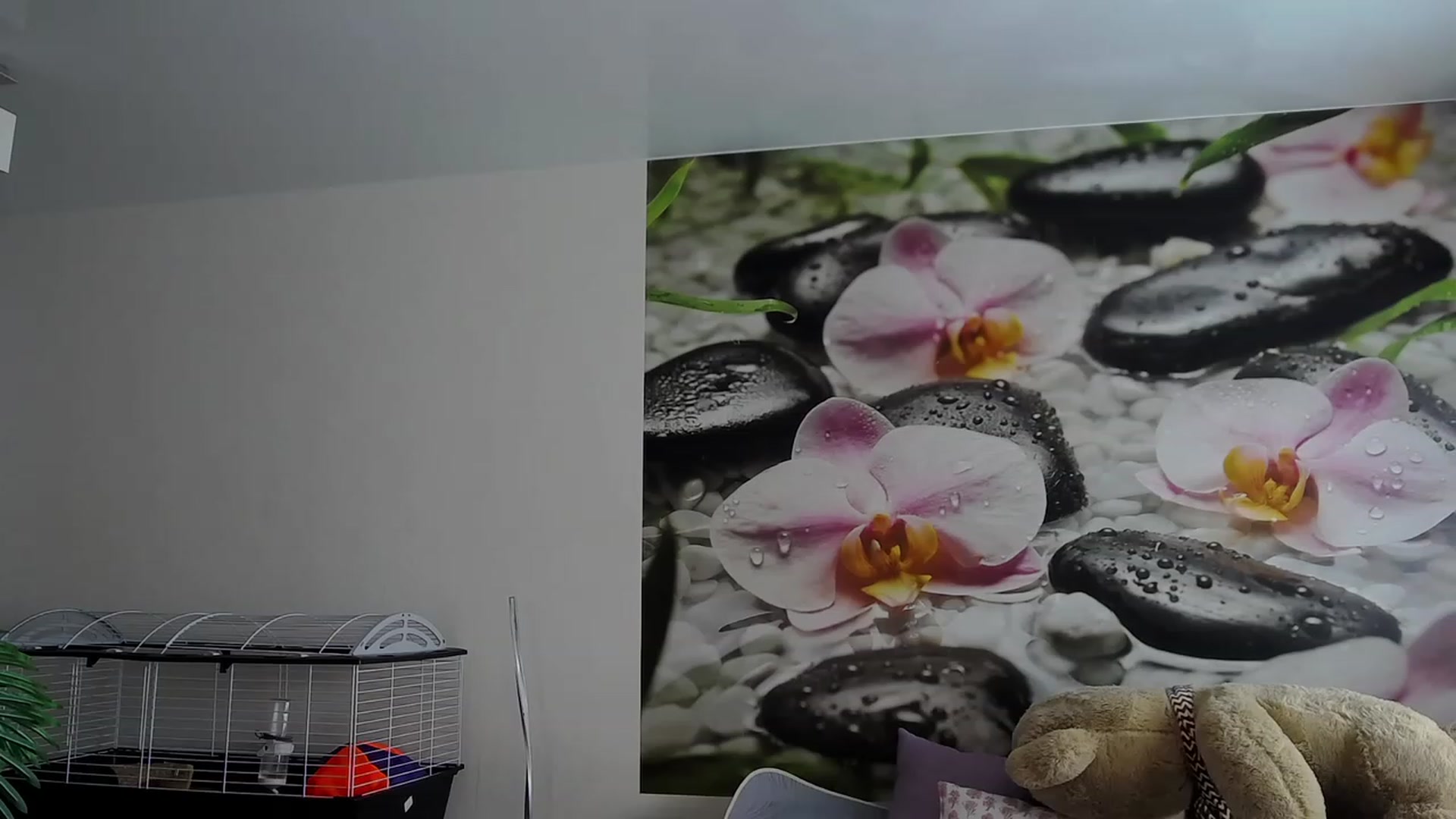 Gallery image thumbnail from HoneyIAmHome's myfreecams stream on, 02/15/2024, 07:30 image 7 of 20