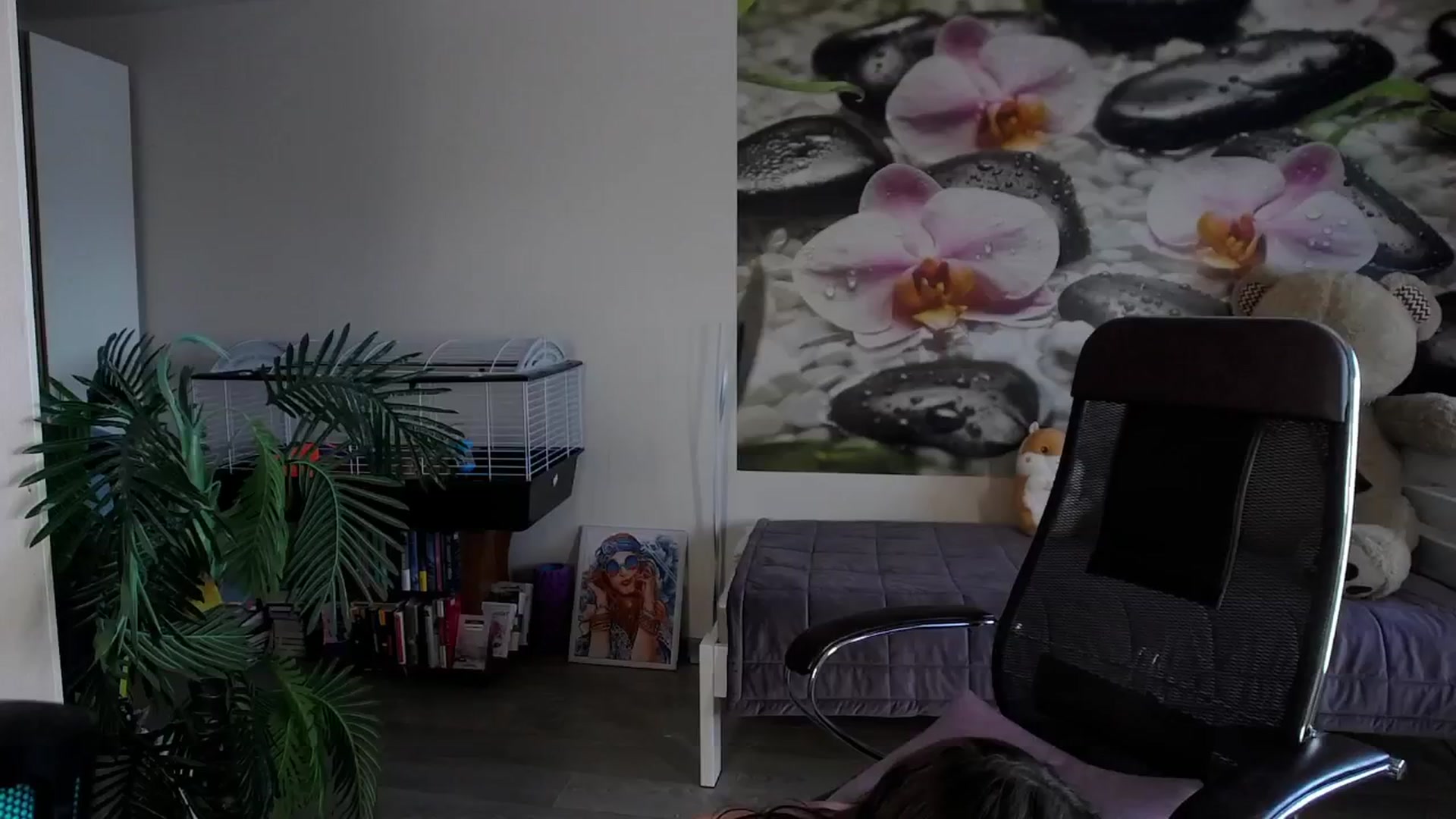 Gallery image thumbnail from HoneyIAmHome's myfreecams stream on, 05/22/2024, 05:40 image 1 of 20