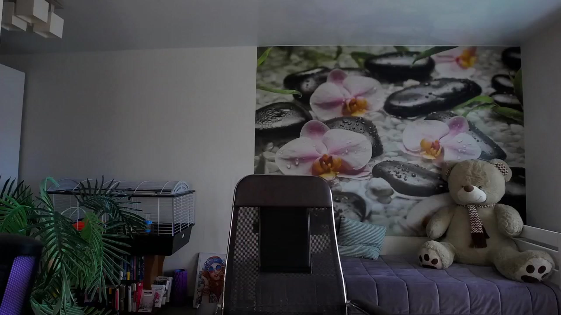 Gallery image thumbnail from HoneyIAmHome's myfreecams stream on, 05/26/2024, 08:19 image 17 of 20