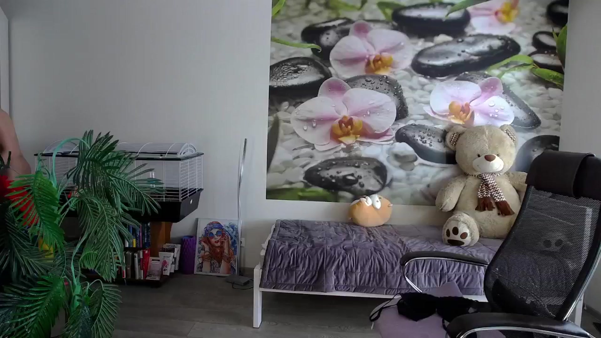 Gallery image thumbnail from HoneyIAmHome's myfreecams stream on, 05/30/2024, 09:48 image 8 of 20