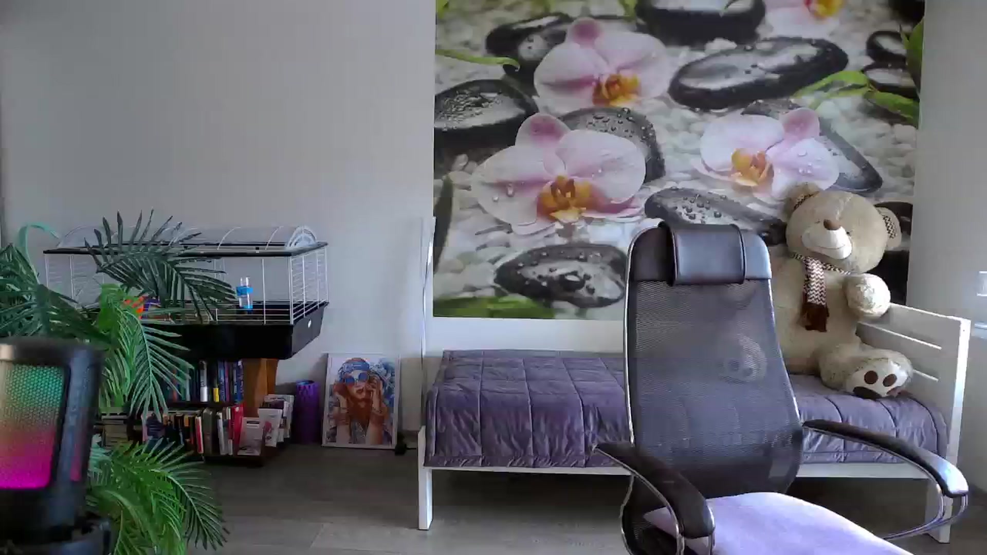 Gallery image thumbnail from HoneyIAmHome's myfreecams stream on, 06/05/2024, 04:49 image 11 of 20