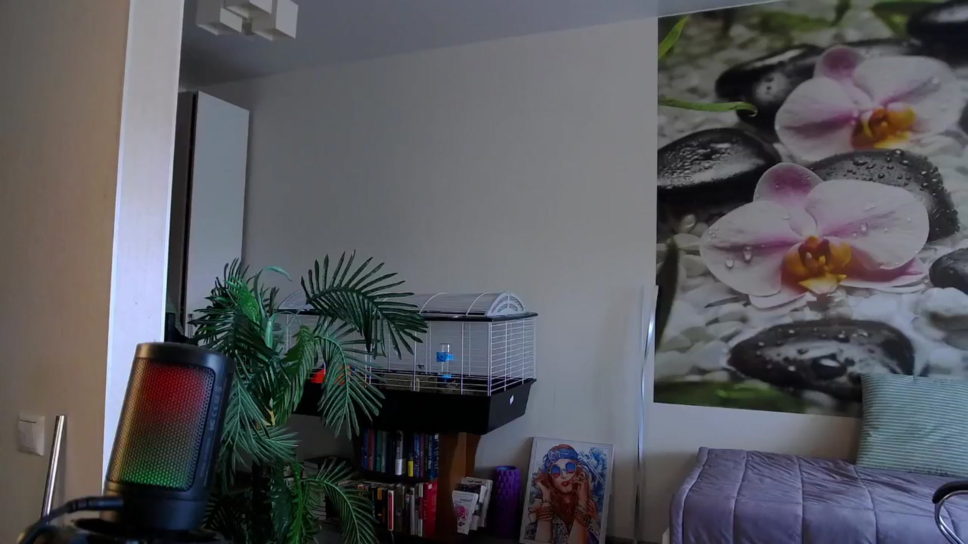 Gallery image thumbnail from HoneyIAmHome's myfreecams stream on, 06/13/2024, 07:21 image 4 of 20