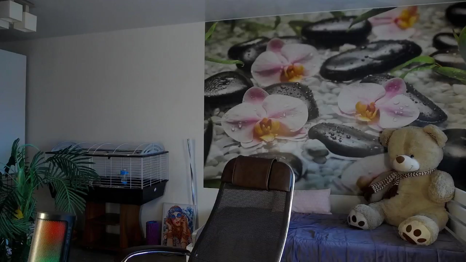 Gallery image thumbnail from HoneyIAmHome's myfreecams stream on, 06/30/2024, 09:37 image 10 of 20