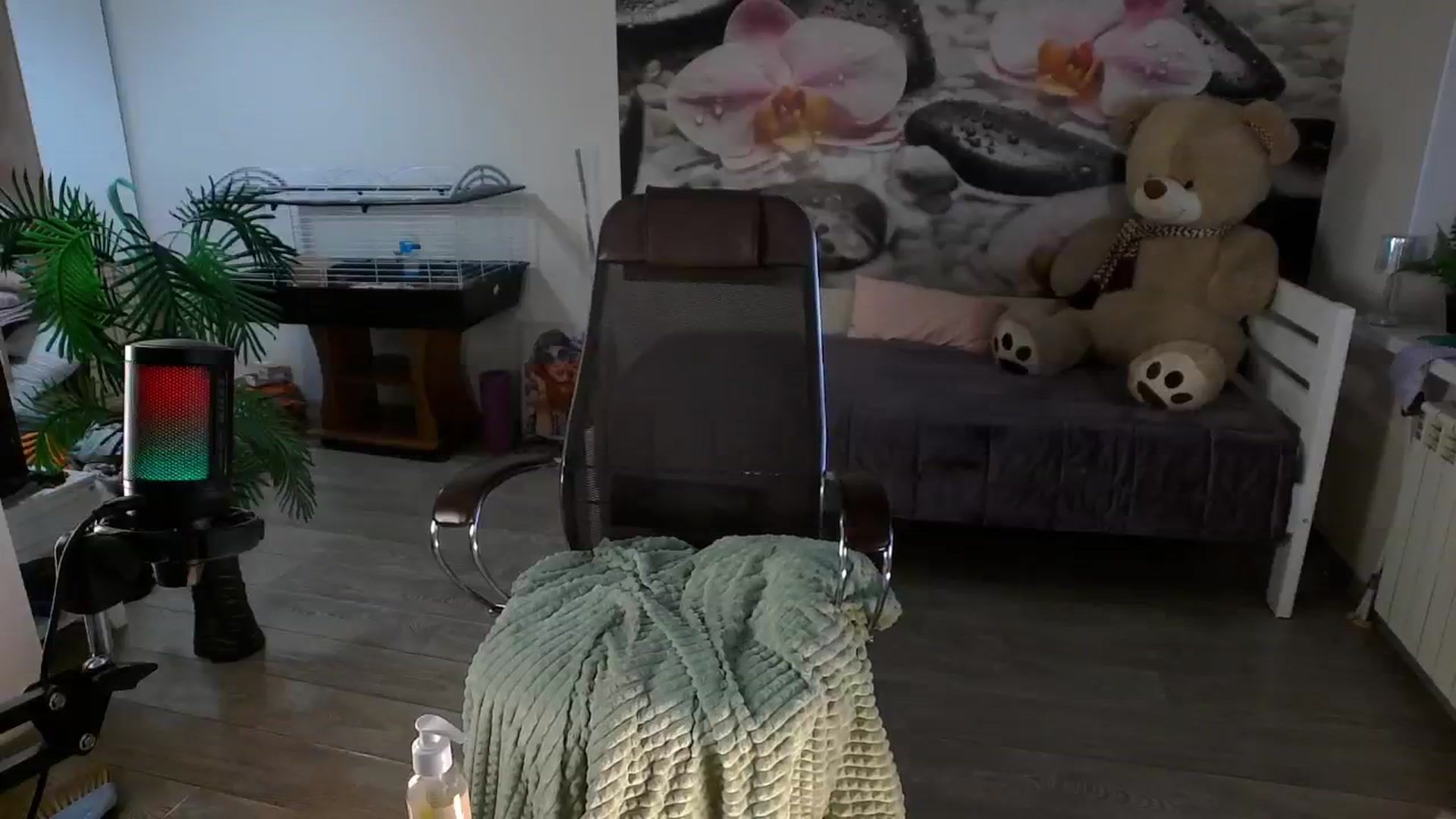 Gallery image thumbnail from HoneyIAmHome's myfreecams stream on, 07/01/2024, 08:53 image 16 of 20
