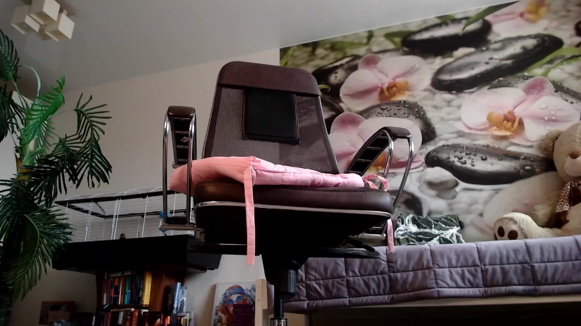 Gallery image thumbnail from HoneyIAmHome's myfreecams stream on, 07/15/2024, 08:10 image 5 of 20