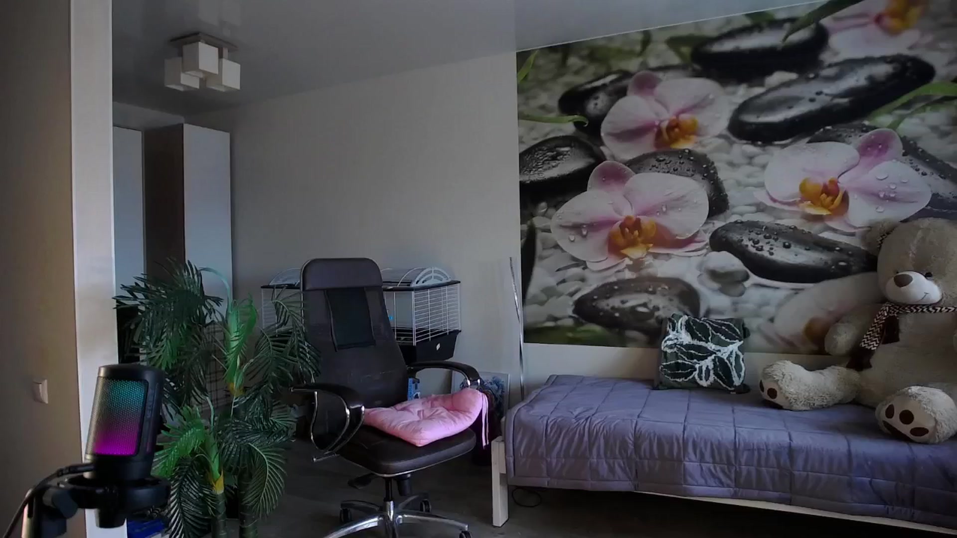 Gallery image thumbnail from HoneyIAmHome's myfreecams stream on, 07/15/2024, 08:10 image 12 of 20