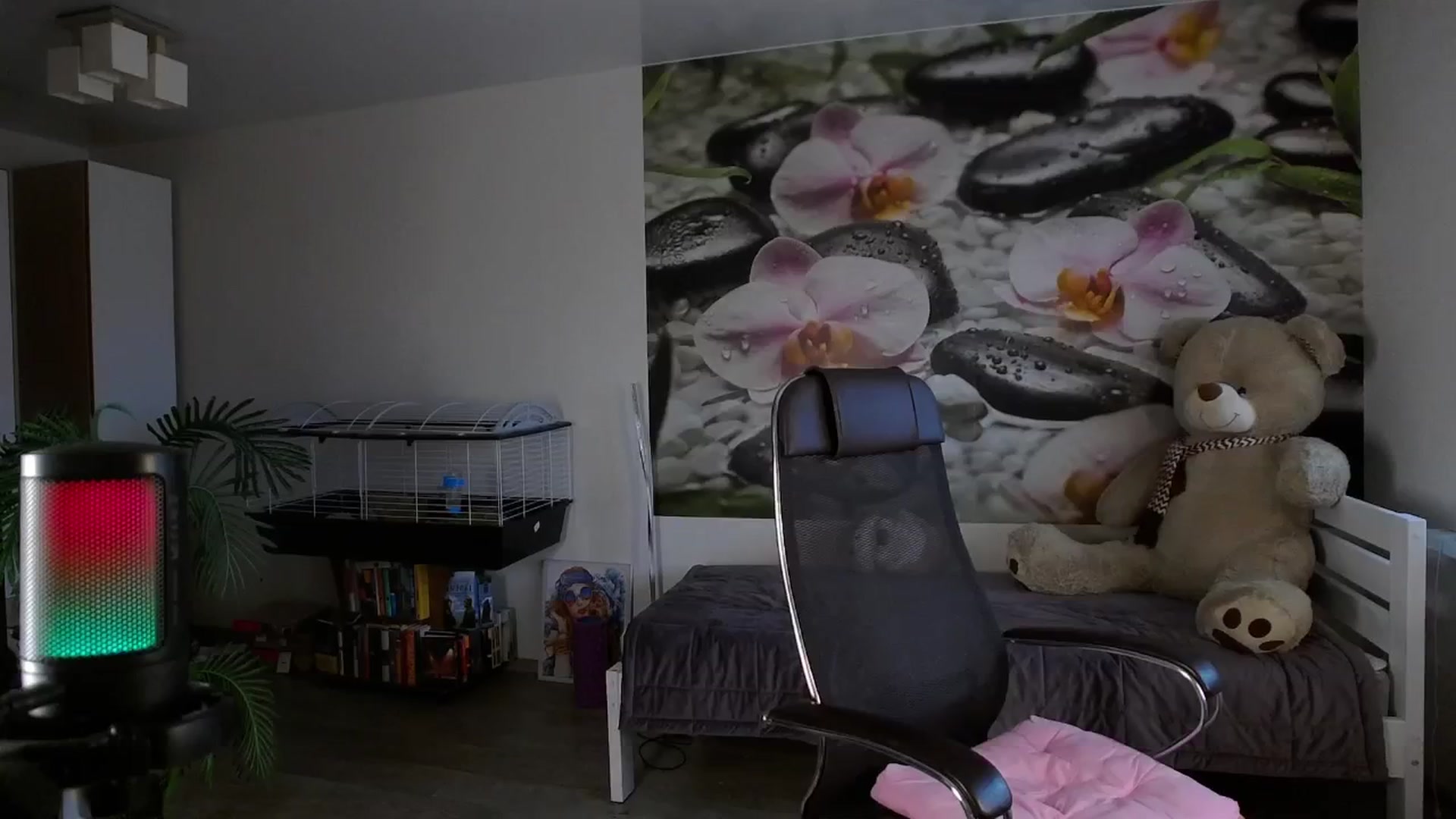 Gallery image thumbnail from HoneyIAmHome's myfreecams stream on, 07/21/2024, 09:03 image 14 of 20