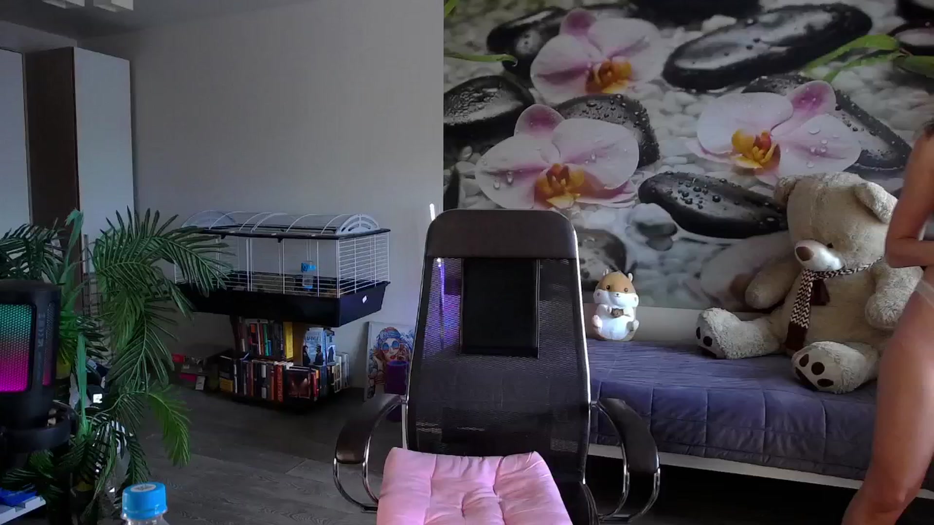 Gallery image thumbnail from HoneyIAmHome's myfreecams stream on, 07/25/2024, 05:05 image 4 of 20