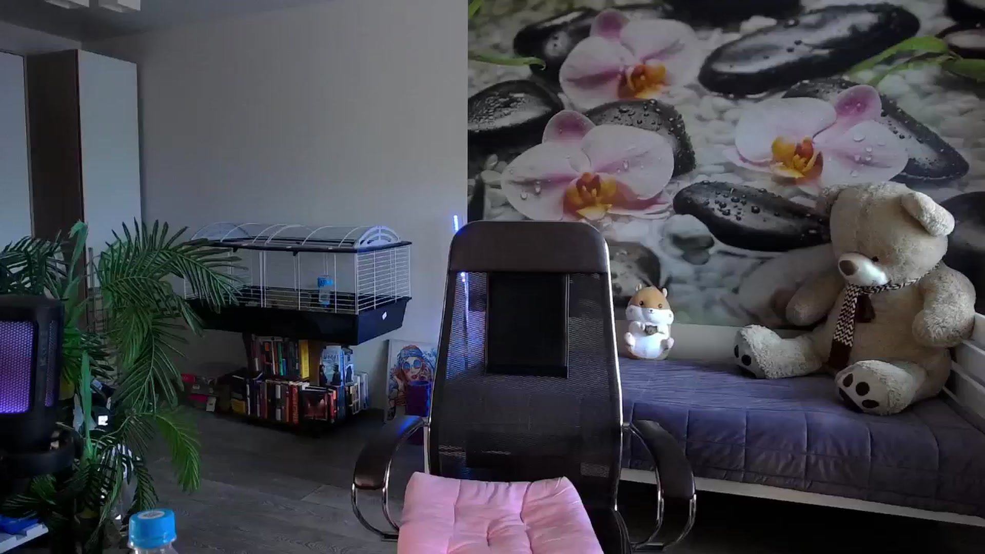 Gallery image thumbnail from HoneyIAmHome's myfreecams stream on, 07/25/2024, 05:05 image 3 of 20