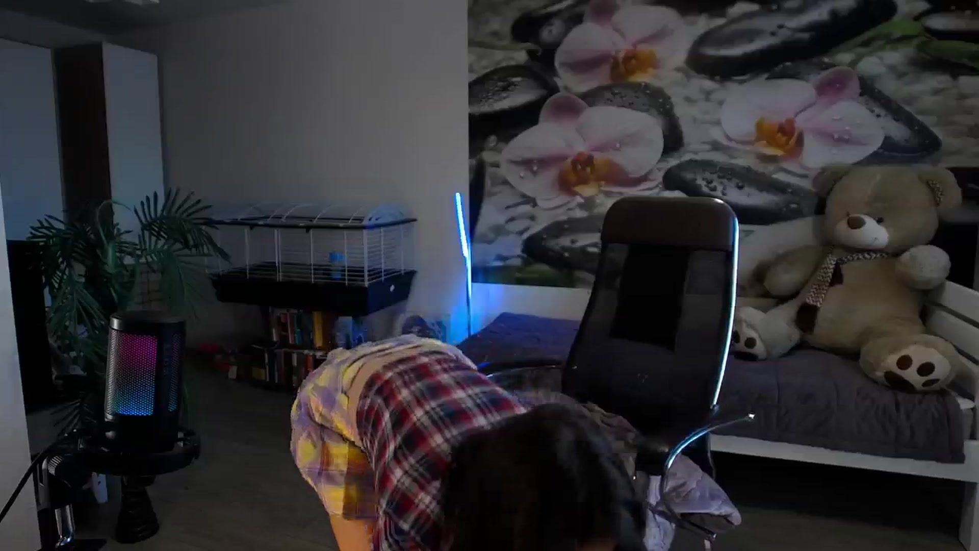 Gallery image thumbnail from HoneyIAmHome's myfreecams stream on, 07/28/2024, 10:18 image 11 of 20