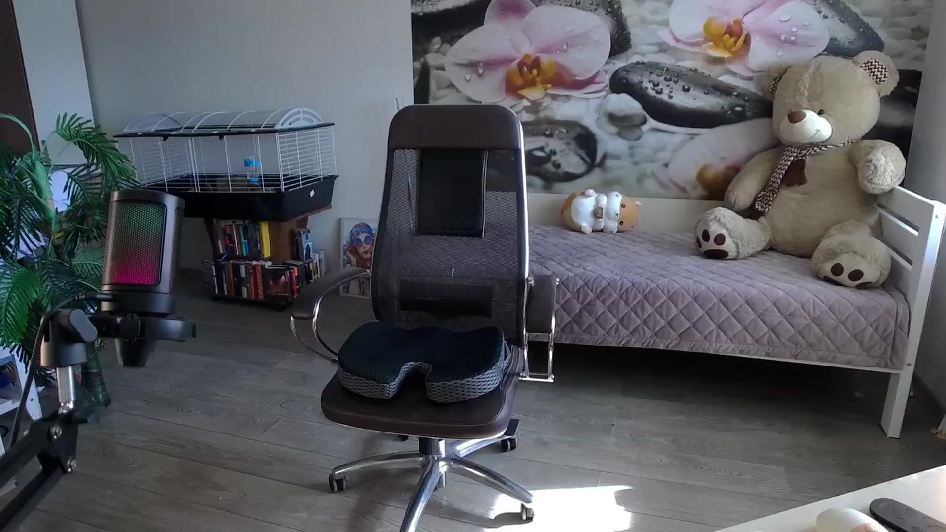 Gallery image thumbnail from HoneyIAmHome's myfreecams stream on, 08/18/2024, 07:16 image 9 of 20