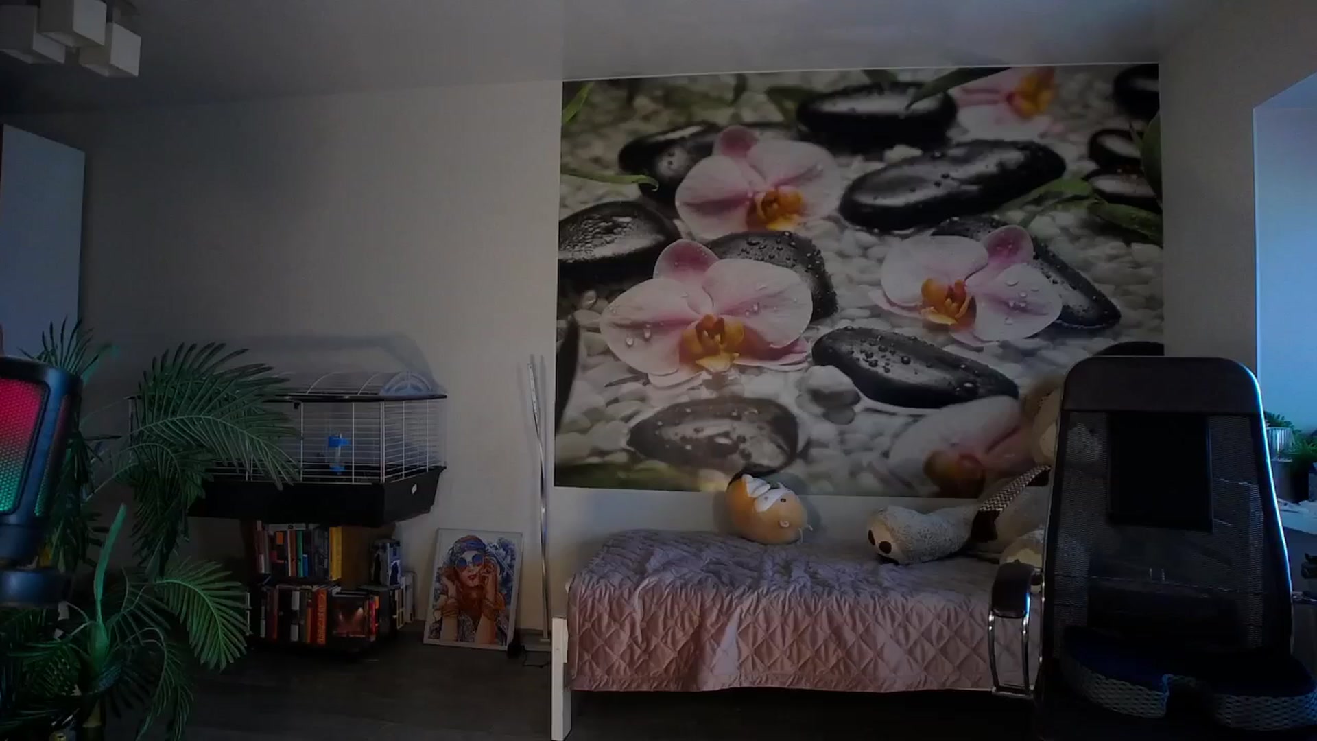 Gallery image thumbnail from HoneyIAmHome's myfreecams stream on, 08/25/2024, 09:10 image 15 of 20
