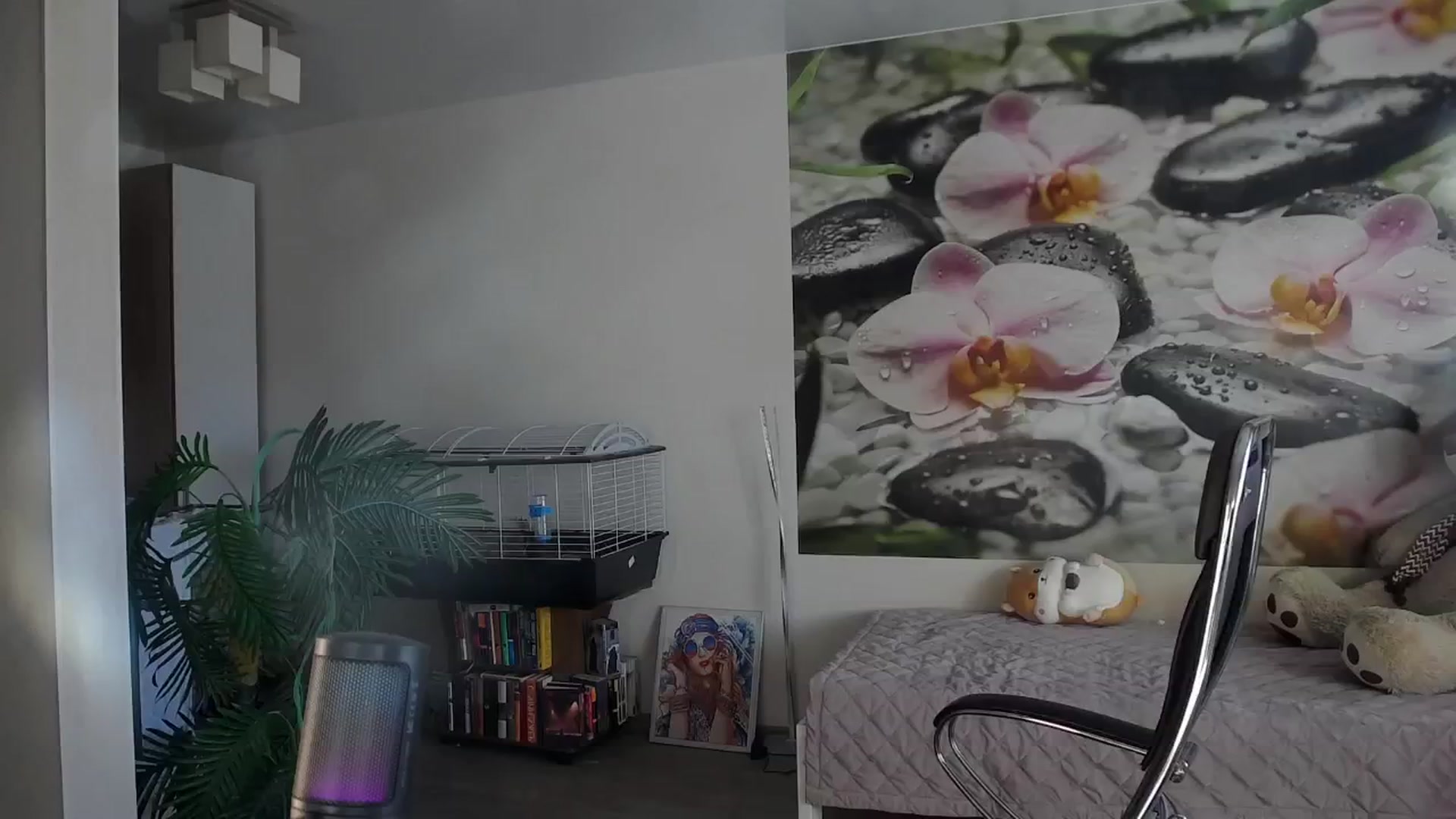 Gallery image thumbnail from HoneyIAmHome's myfreecams stream on, 08/31/2024, 08:51 image 19 of 20
