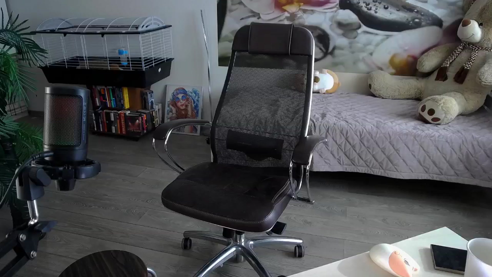 Gallery image thumbnail from HoneyIAmHome's myfreecams stream on, 09/11/2024, 09:04 image 5 of 20