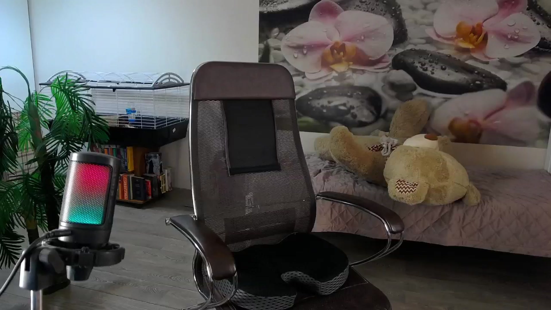 Gallery image thumbnail from HoneyIAmHome's myfreecams stream on, 11/06/2024, 10:26 image 4 of 20