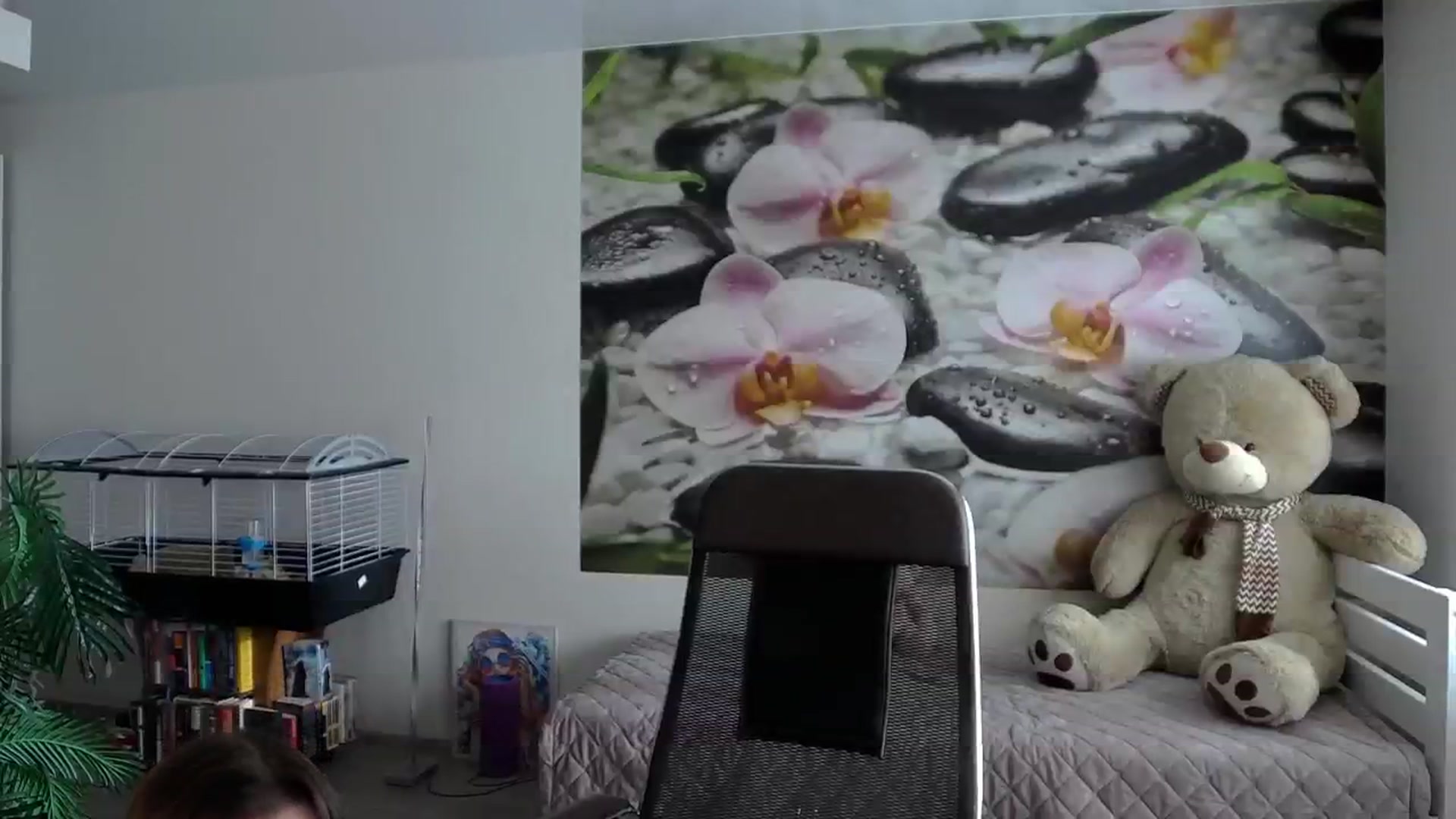 Gallery image thumbnail from HoneyIAmHome's myfreecams stream on, 11/13/2024, 09:15 image 2 of 20