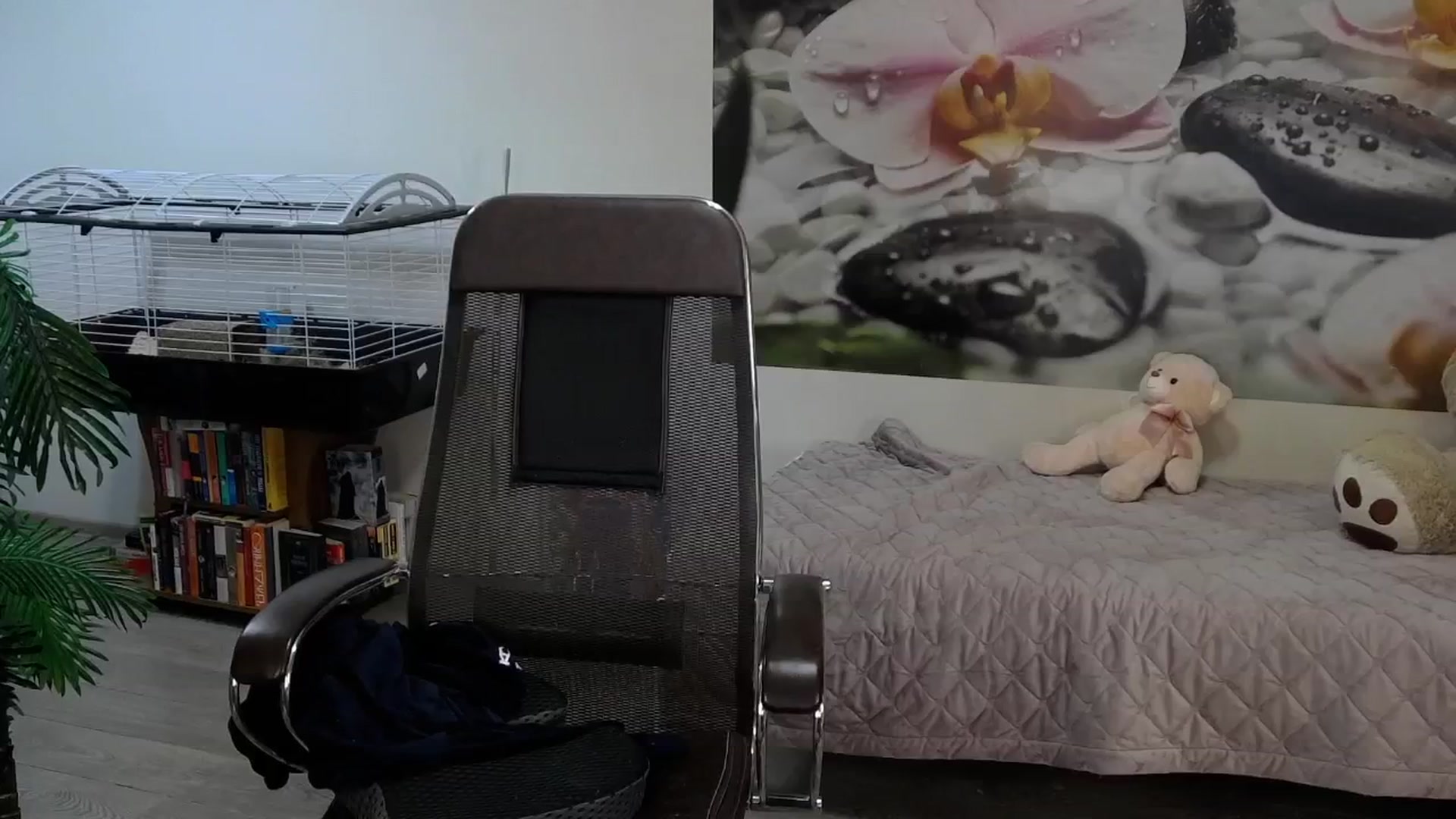 Gallery image thumbnail from HoneyIAmHome's myfreecams stream on, 11/13/2024, 09:15 image 16 of 20