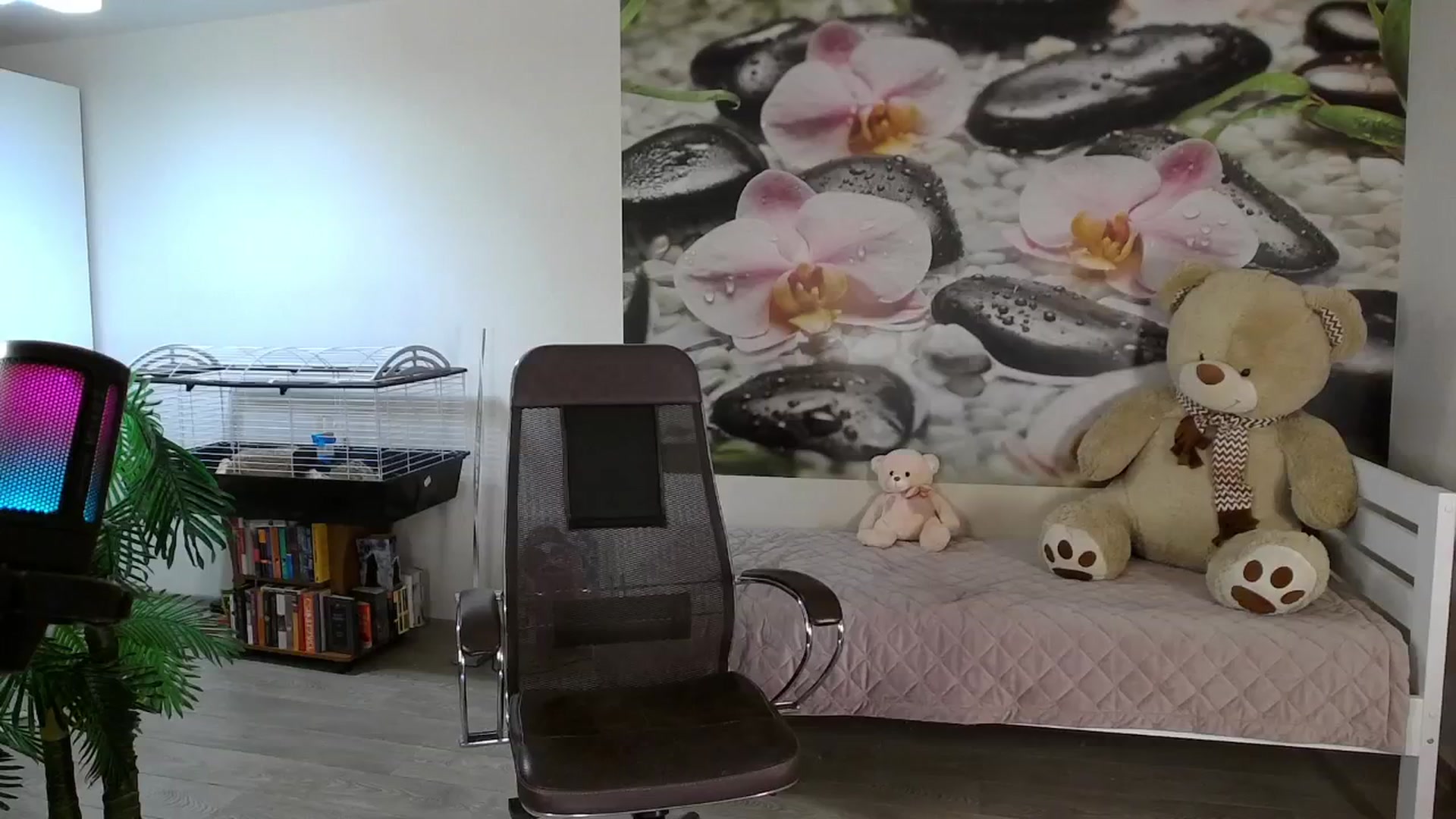 Gallery image thumbnail from HoneyIAmHome's myfreecams stream on, 11/17/2024, 09:03 image 5 of 20