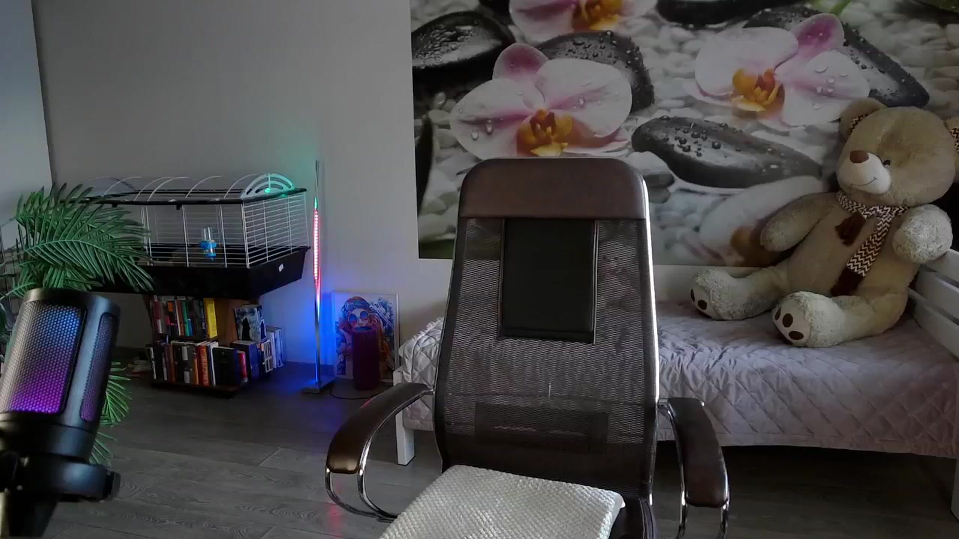 Gallery image thumbnail from HoneyIAmHome's myfreecams stream on, 11/24/2024, 07:04 image 7 of 20