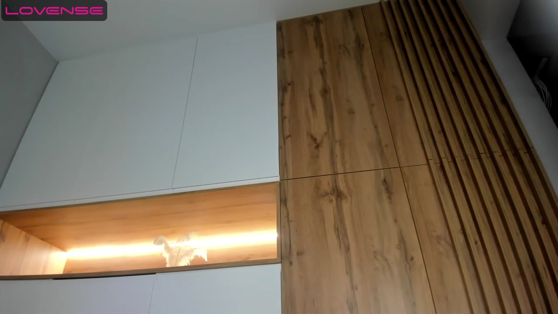 Gallery image thumbnail from HoneyKate__'s myfreecams stream on, 06/26/2023, 21:53 image 7 of 20