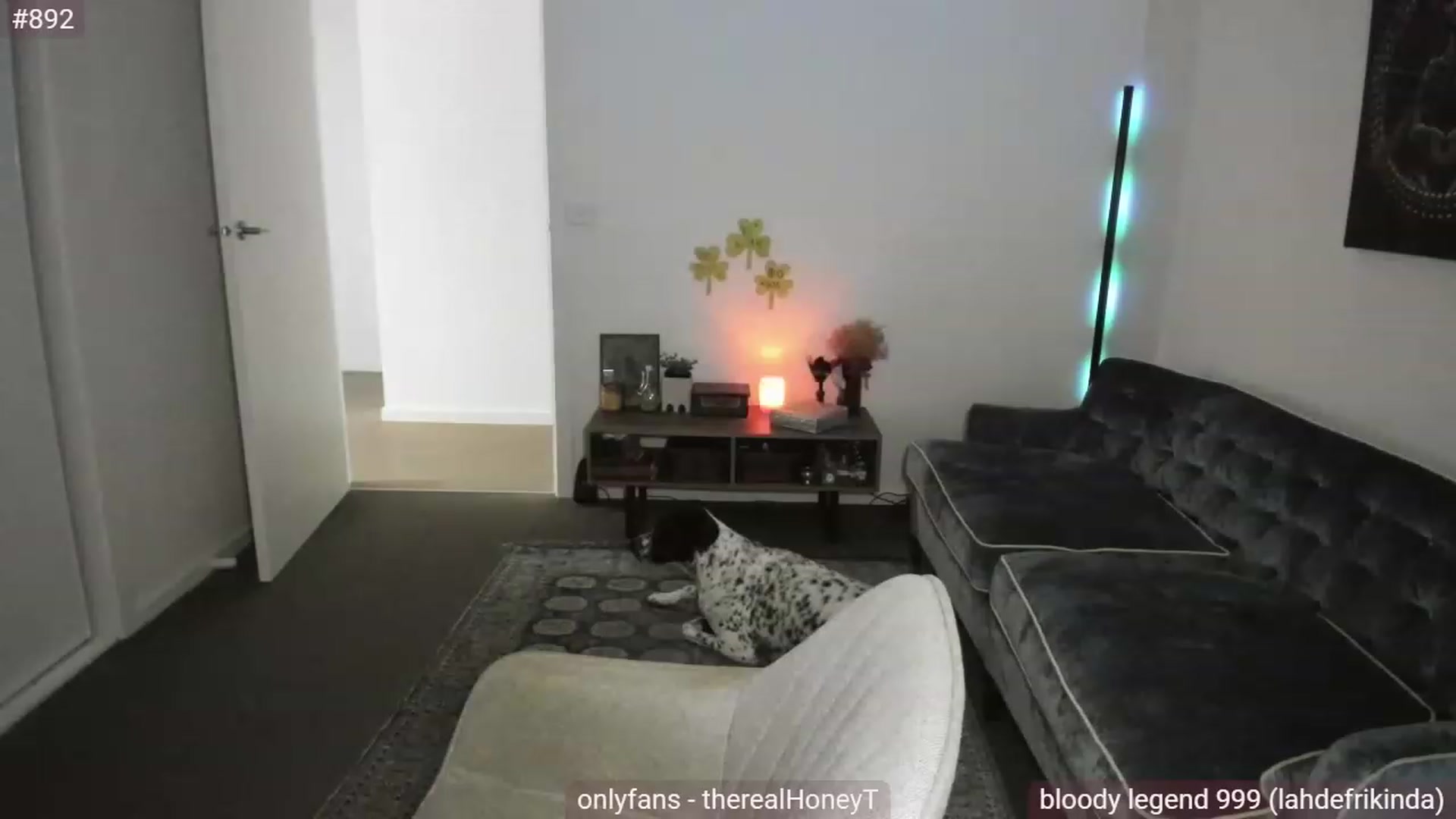 Gallery image thumbnail from HoneyMcTits_'s myfreecams stream on, 03/22/2023, 07:59 image 13 of 20