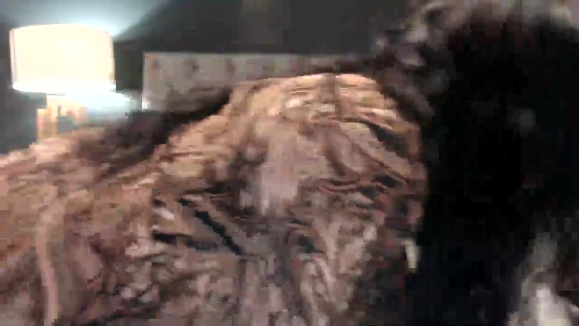 Gallery image thumbnail from HoneyNala's myfreecams stream on, 04/07/2026, 01:16 image 5 of 20