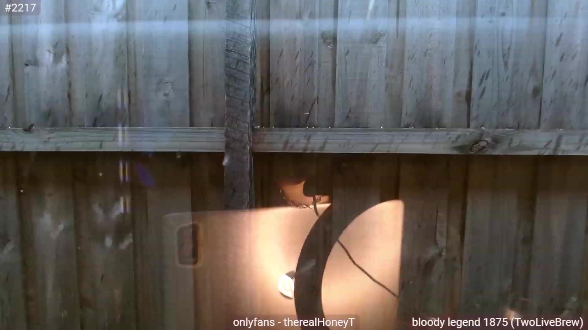 Gallery image thumbnail from HoneyTits_'s myfreecams stream on, 11/21/2022, 06:47 image 12 of 20