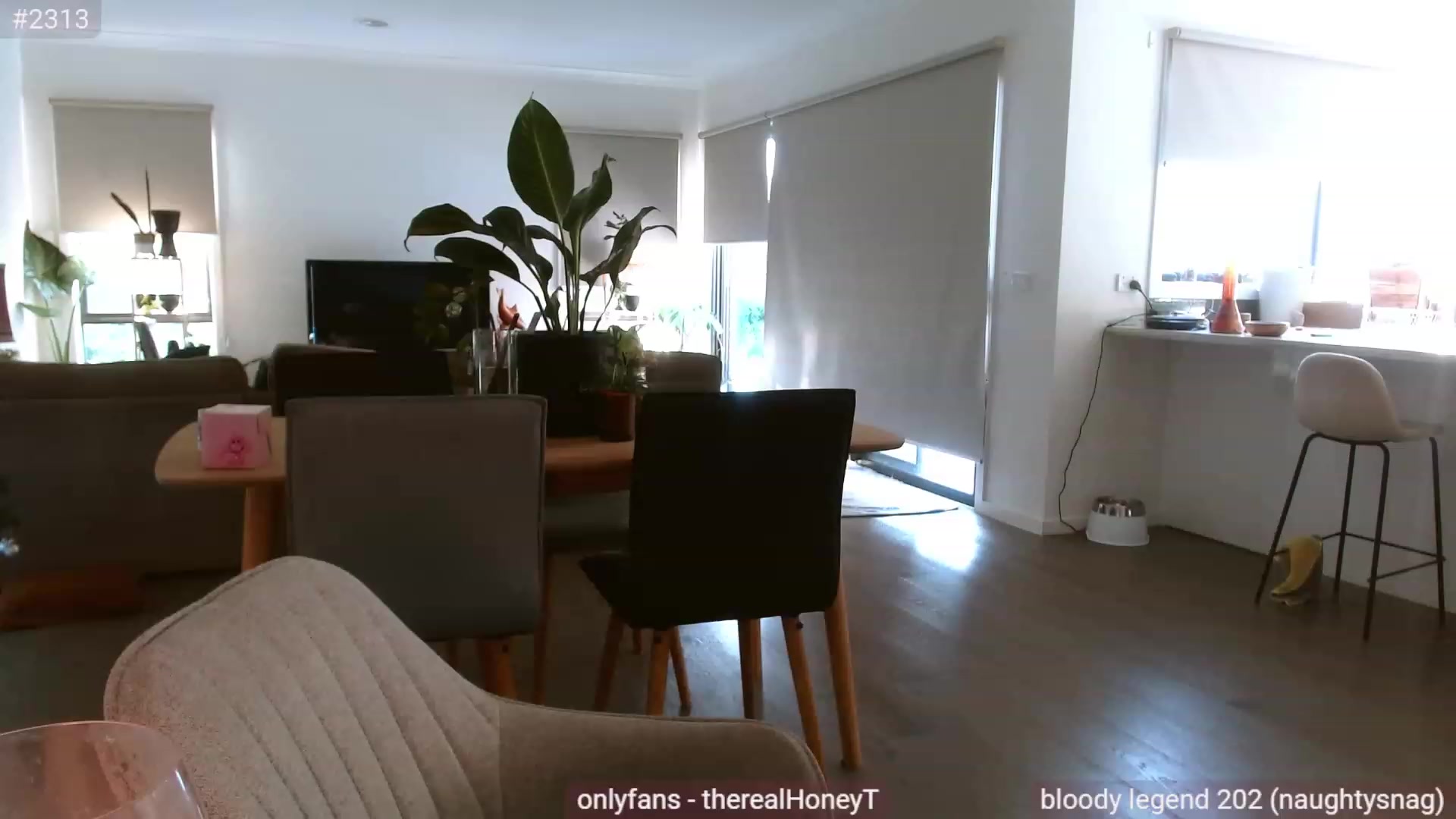Gallery image thumbnail from HoneyTits_'s myfreecams stream on, 12/30/2022, 08:52 image 6 of 20