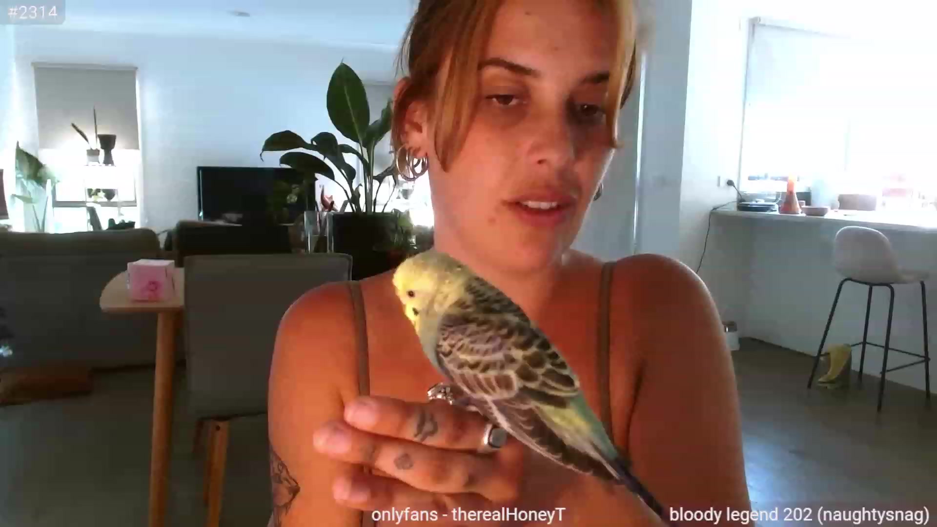 Gallery image thumbnail from HoneyTits_'s myfreecams stream on, 12/30/2022, 08:52 image 9 of 20