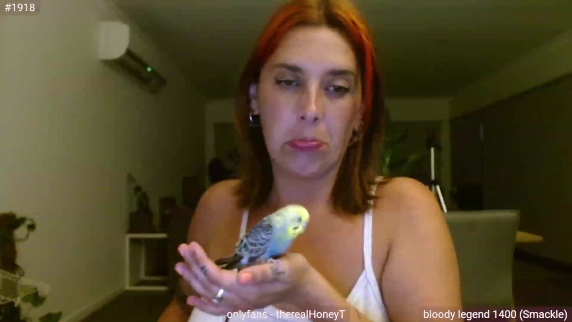 Gallery image thumbnail from HoneyTits_'s myfreecams stream on, 01/07/2023, 10:27 image 20 of 20