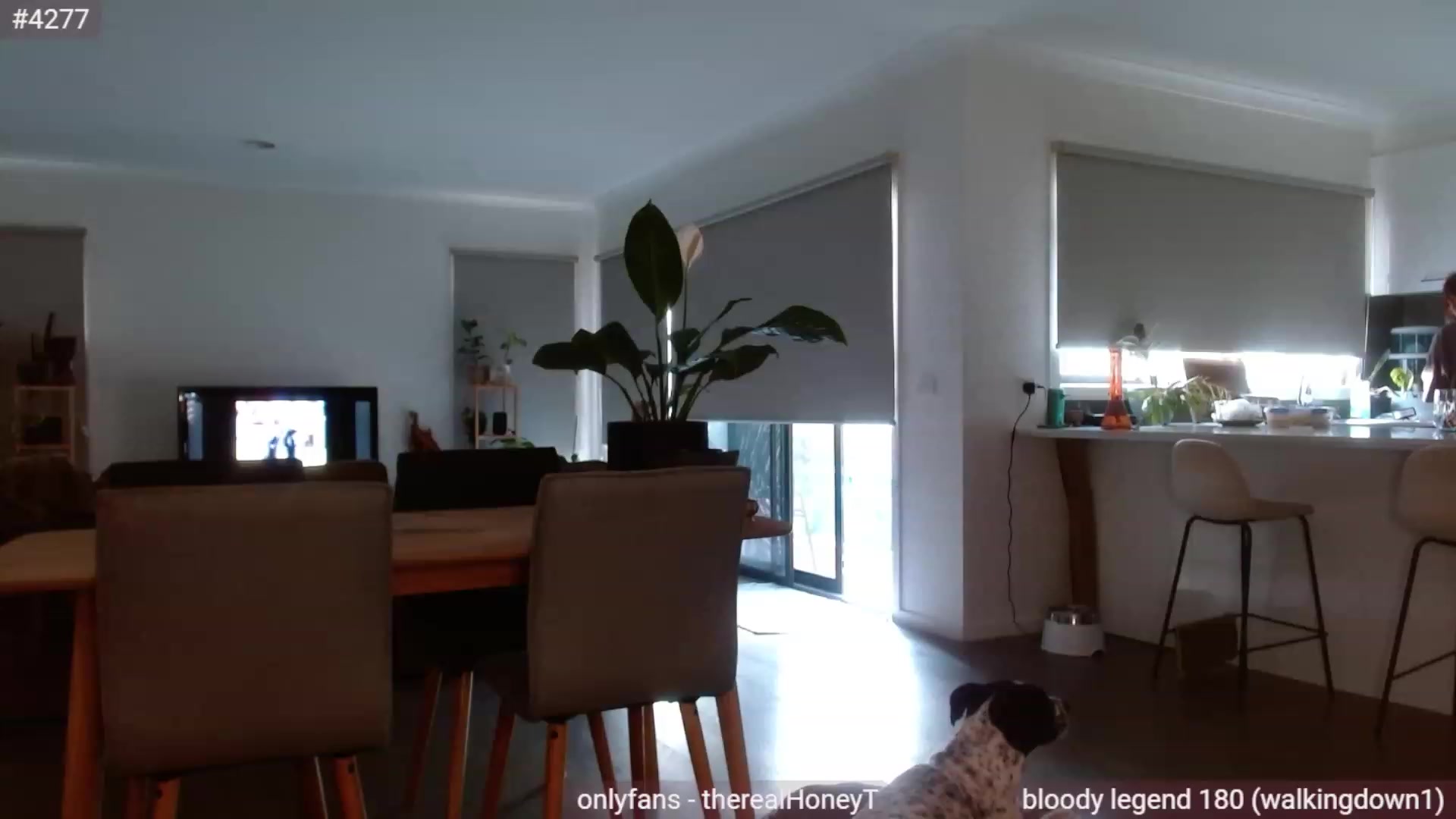 Gallery image thumbnail from HoneyTits_'s myfreecams stream on, 02/13/2023, 09:07 image 4 of 20