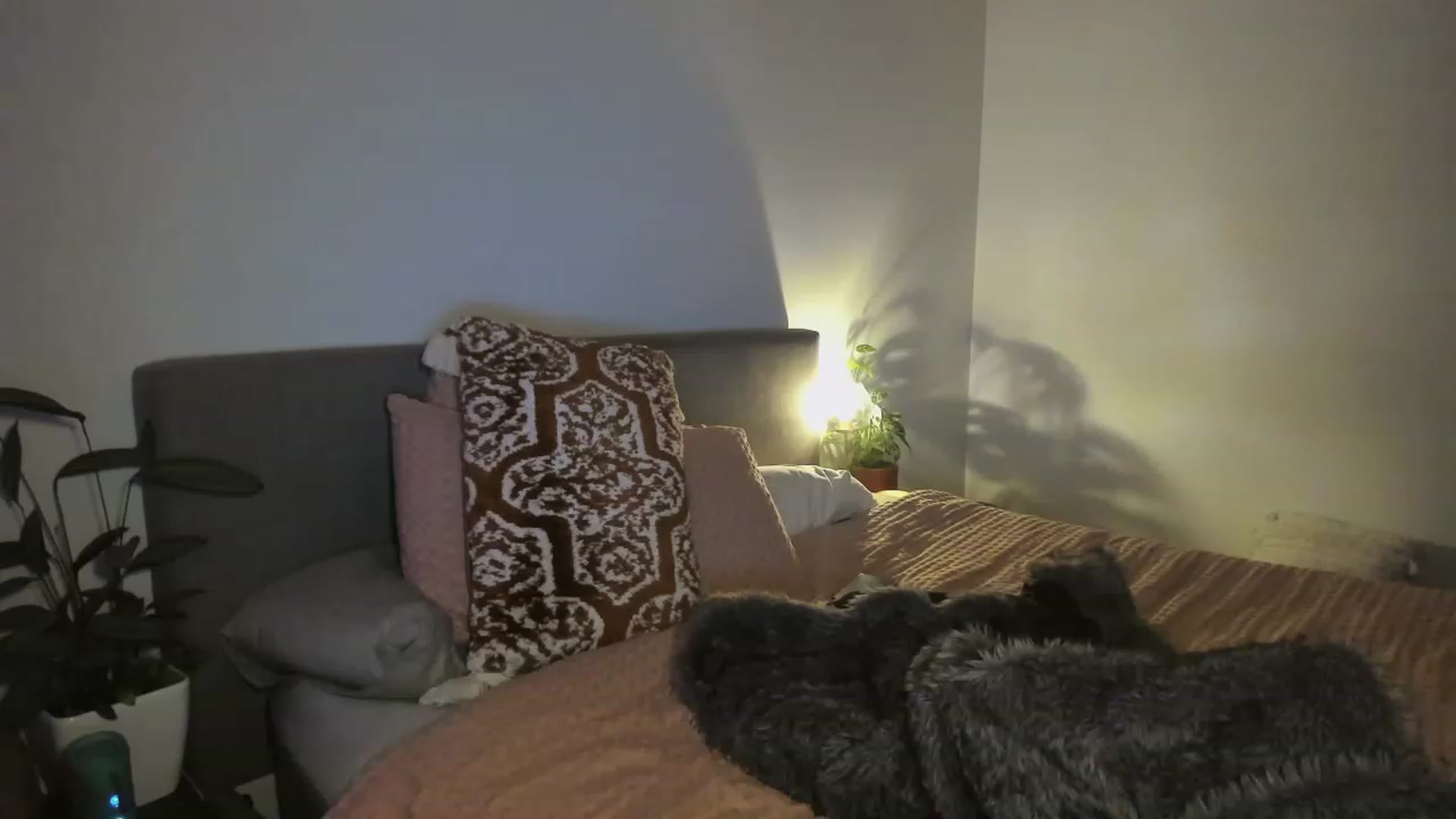 Gallery image thumbnail from HoneyTits_'s myfreecams stream on, 04/15/2023, 11:24 image 9 of 20
