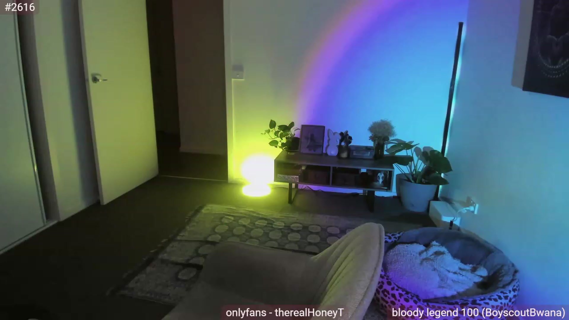 Gallery image thumbnail from HoneyTits_'s myfreecams stream on, 05/05/2023, 08:43 image 1 of 20