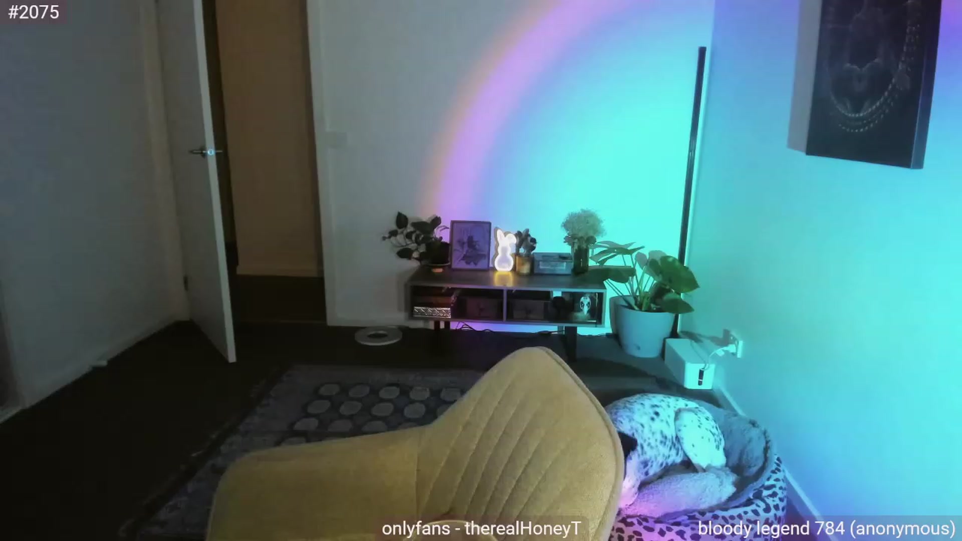 Gallery image thumbnail from HoneyTits_'s myfreecams stream on, 05/06/2023, 10:41 image 11 of 20
