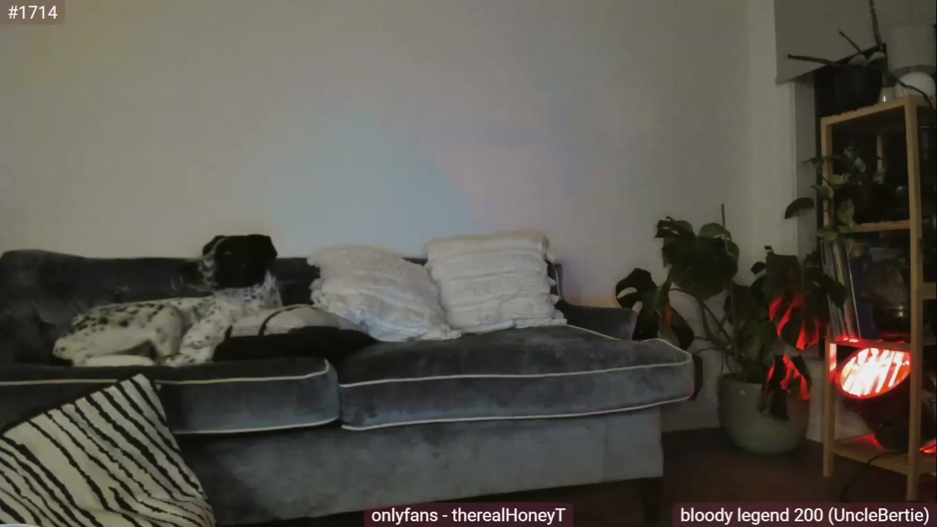 Gallery image thumbnail from HoneyTits_'s myfreecams stream on, 05/19/2023, 10:18 image 10 of 20
