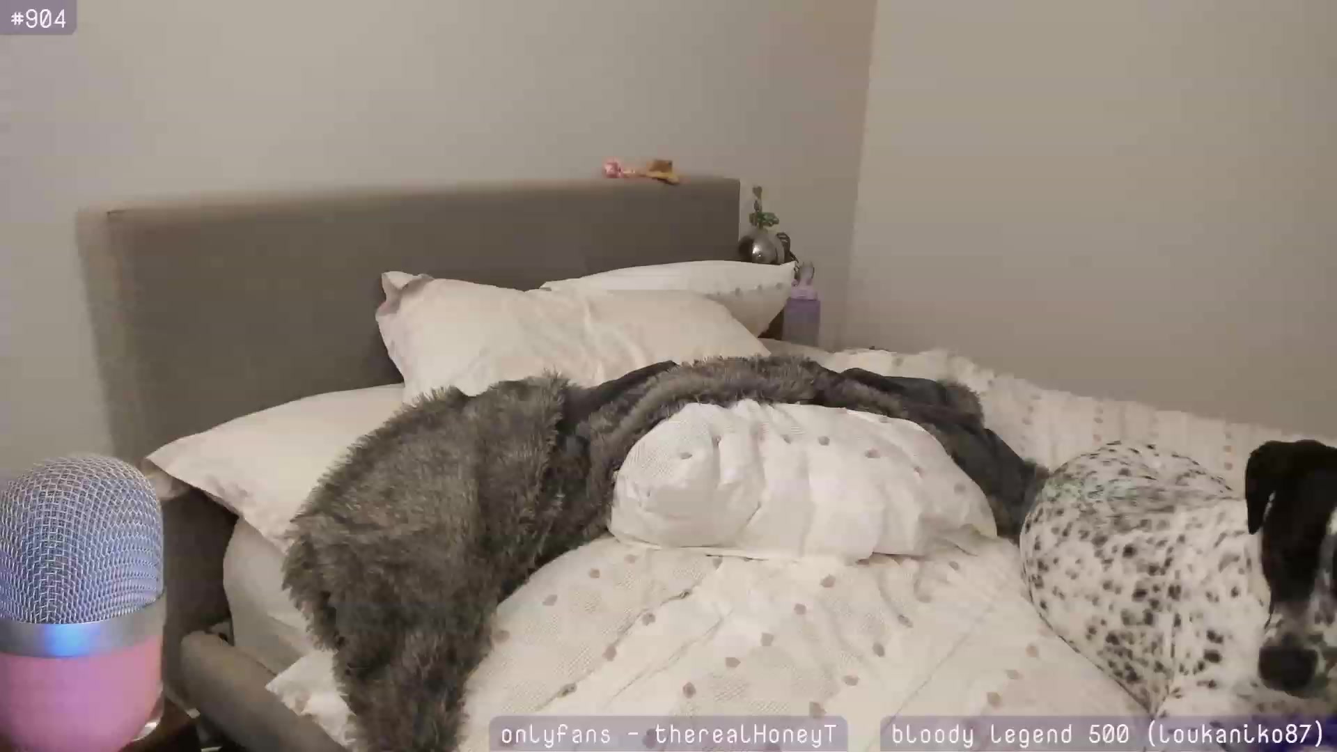 Gallery image thumbnail from HoneyTits_'s myfreecams stream on, 06/04/2023, 10:12 image 7 of 20