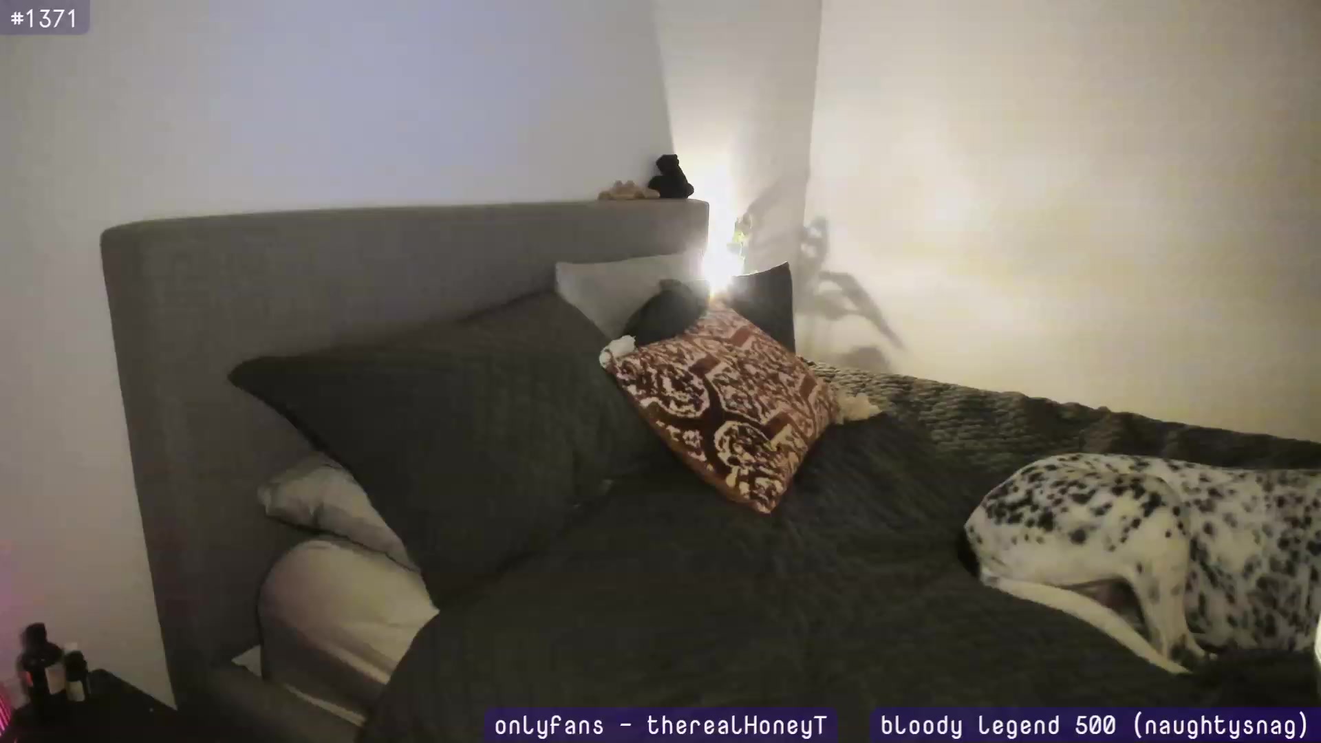 Gallery image thumbnail from HoneyTits_'s myfreecams stream on, 06/21/2023, 11:35 image 15 of 20