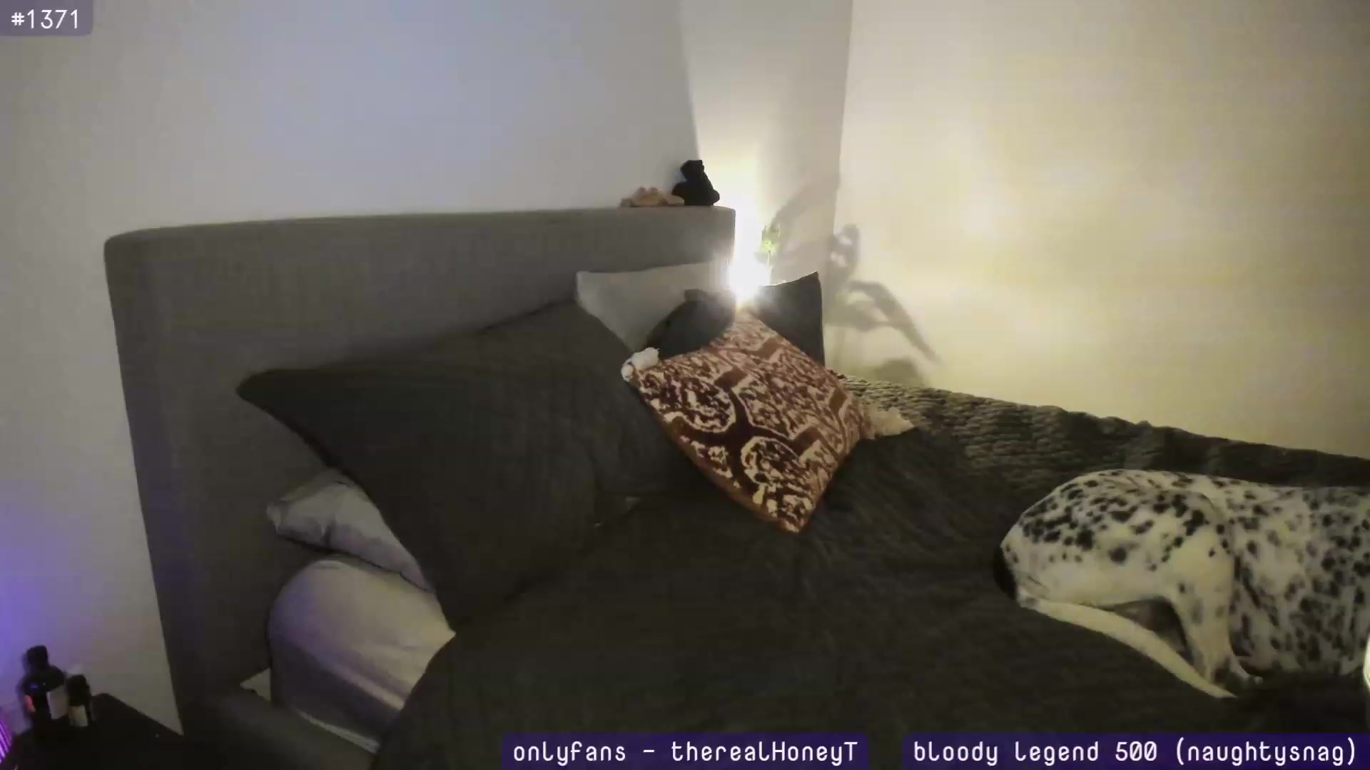Gallery image thumbnail from HoneyTits_'s myfreecams stream on, 06/21/2023, 11:35 image 14 of 20